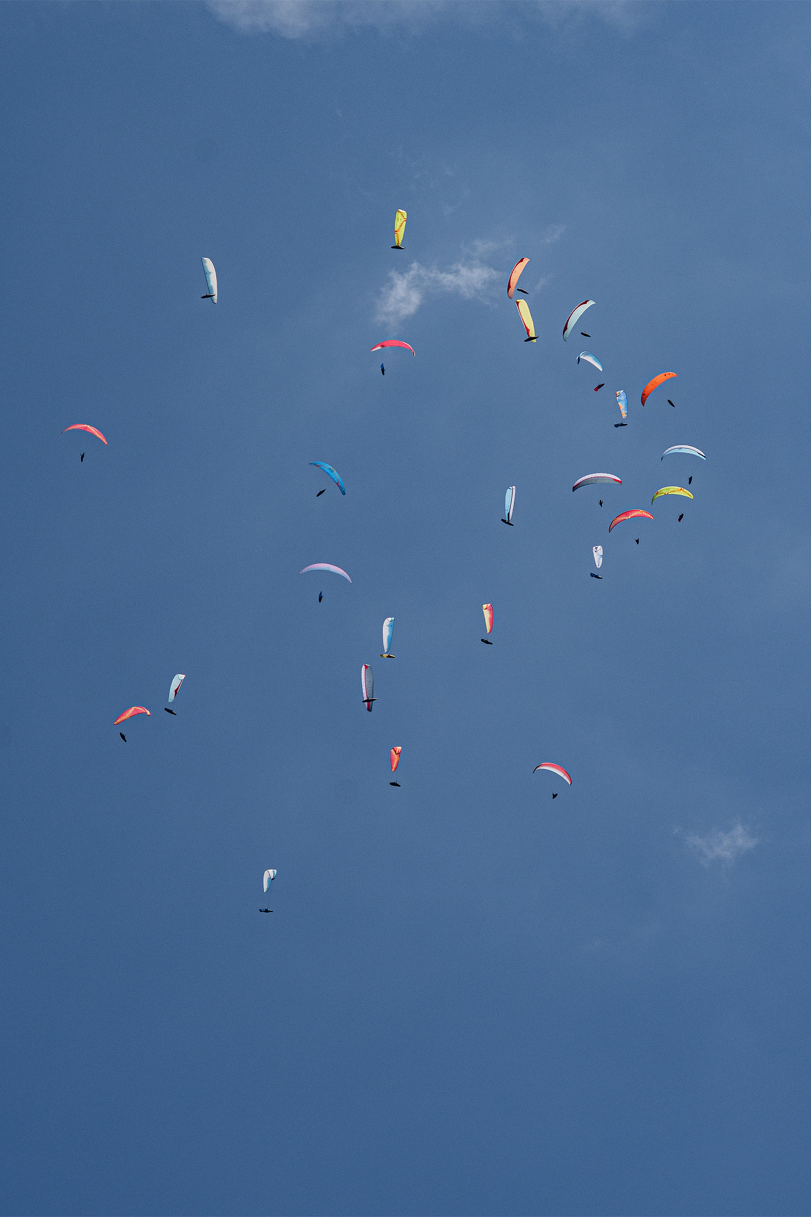 DSC_5370-1.jpg