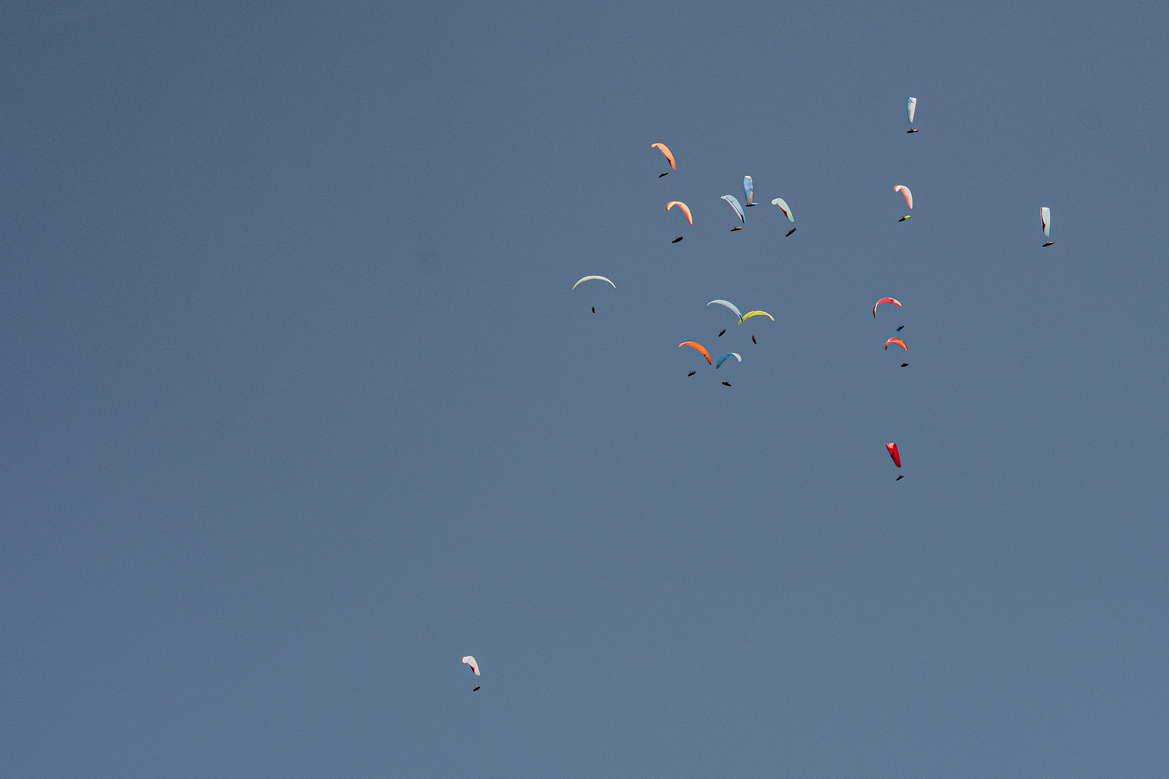 DSC_5338-1.jpg