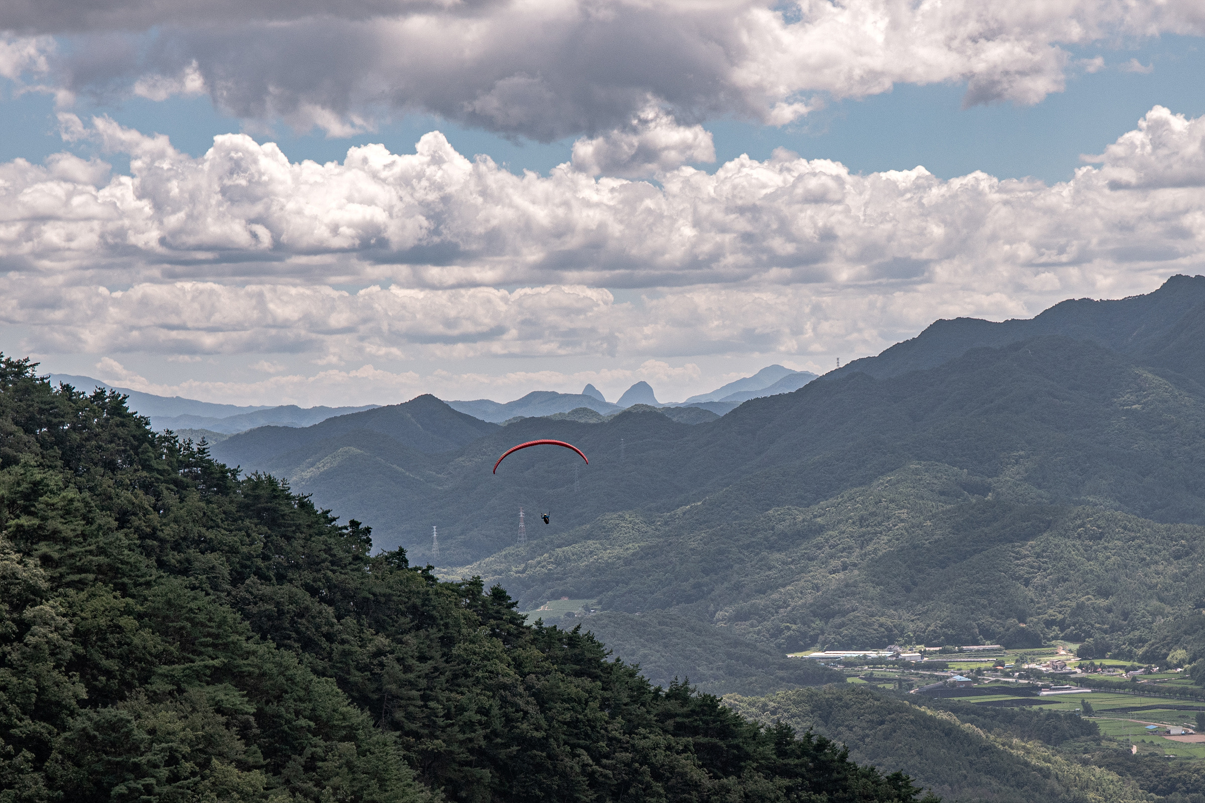 DSC_6513-1.jpg