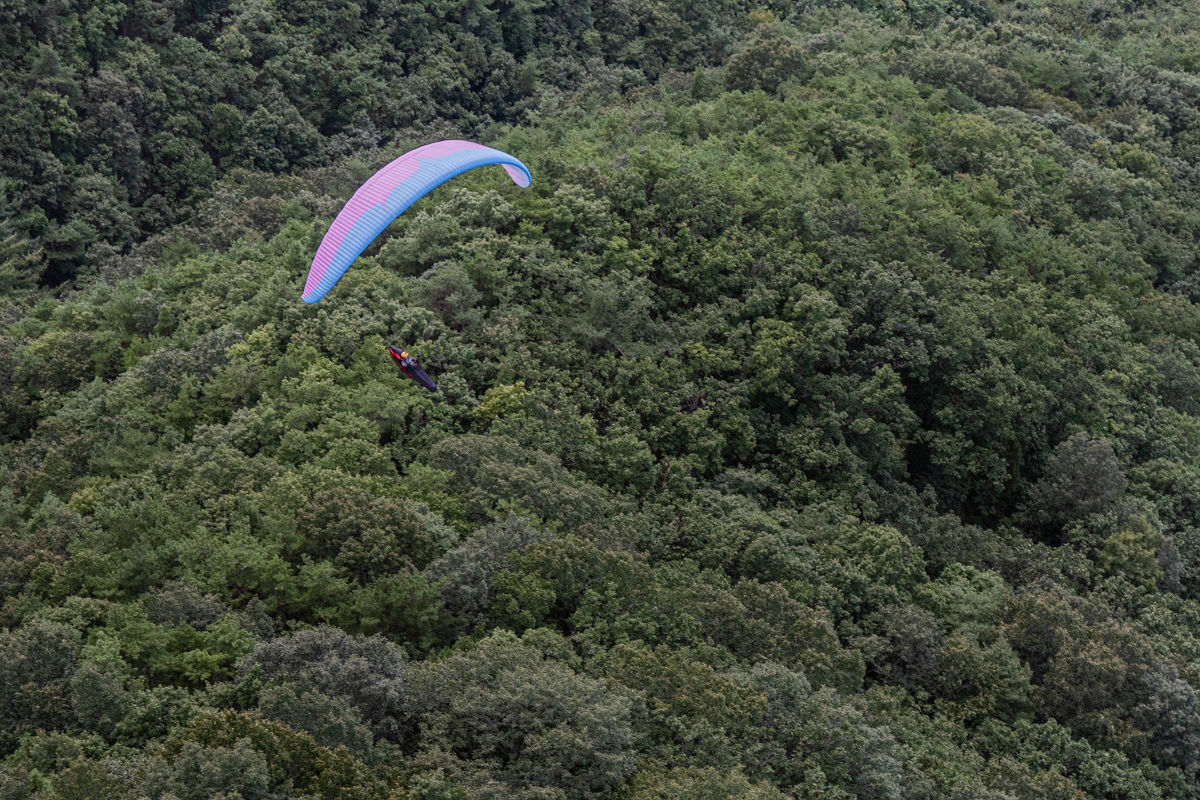 DSC_6585-1.jpg