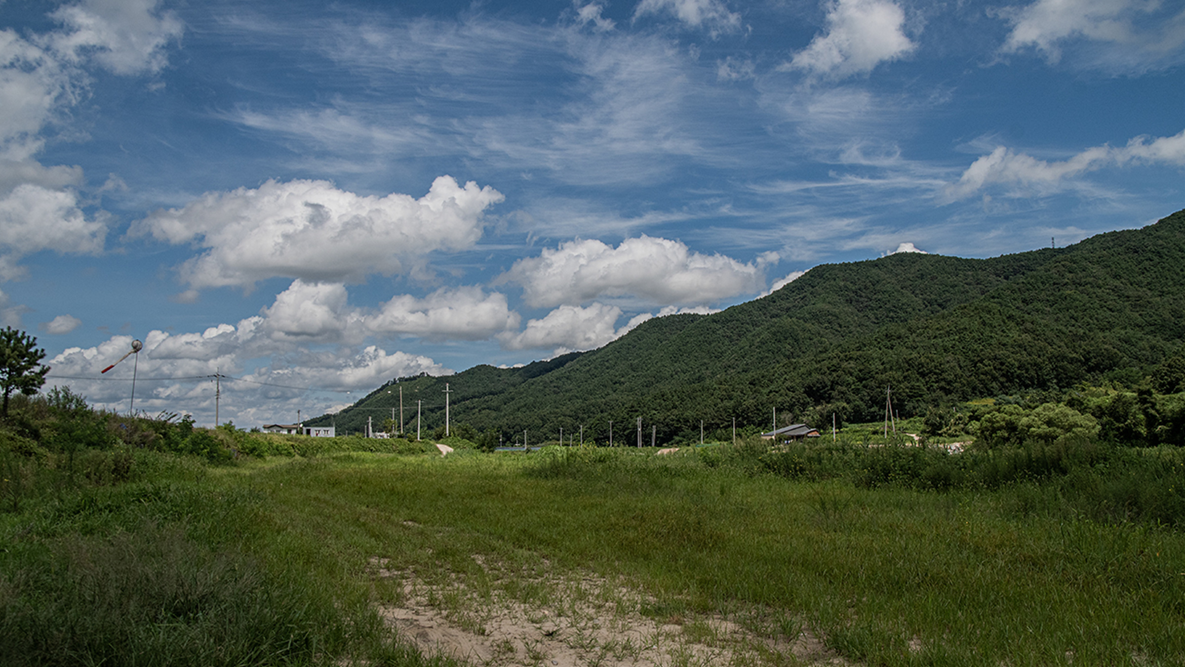 DSC_6443-1.jpg