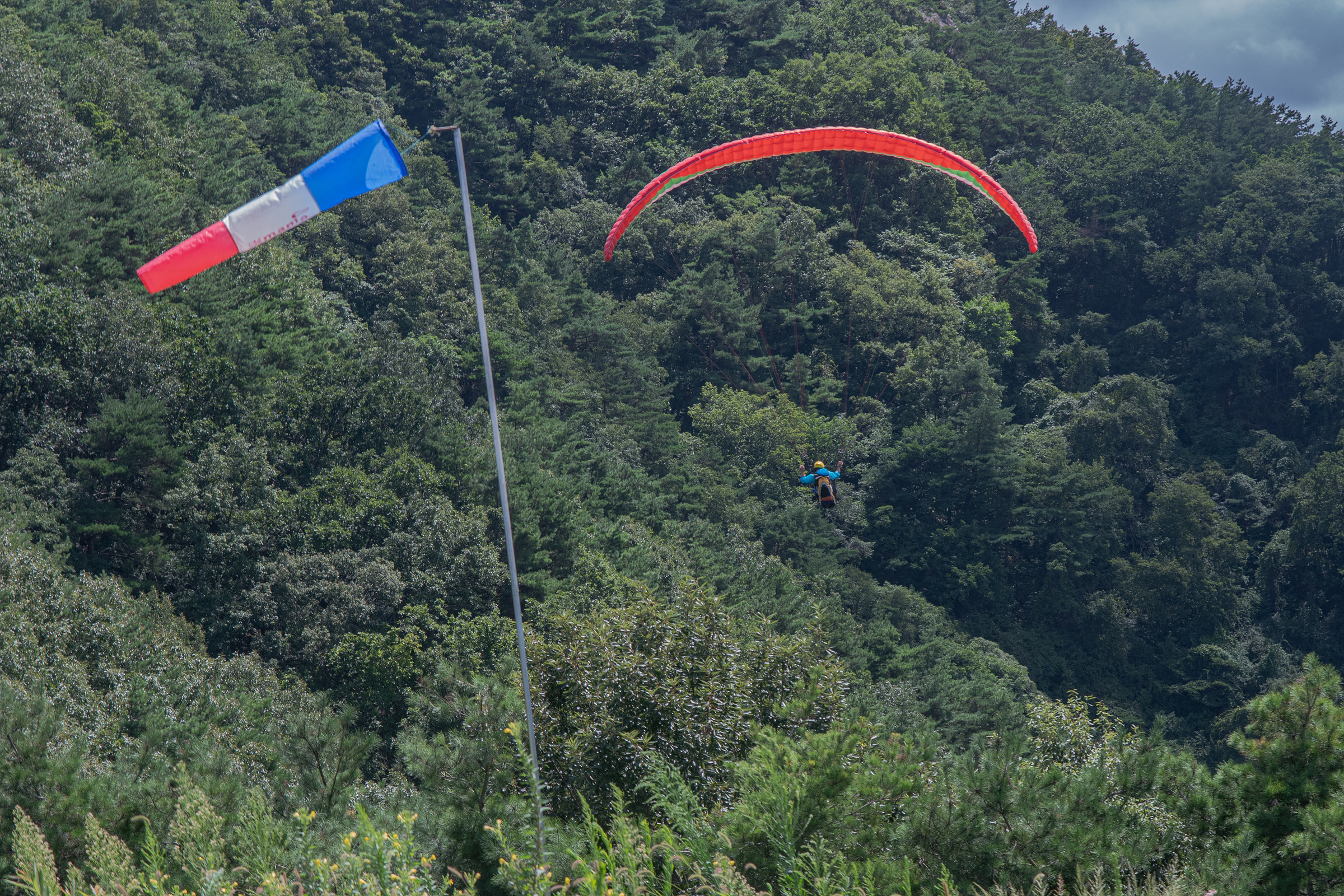 DSC_6504-1.jpg