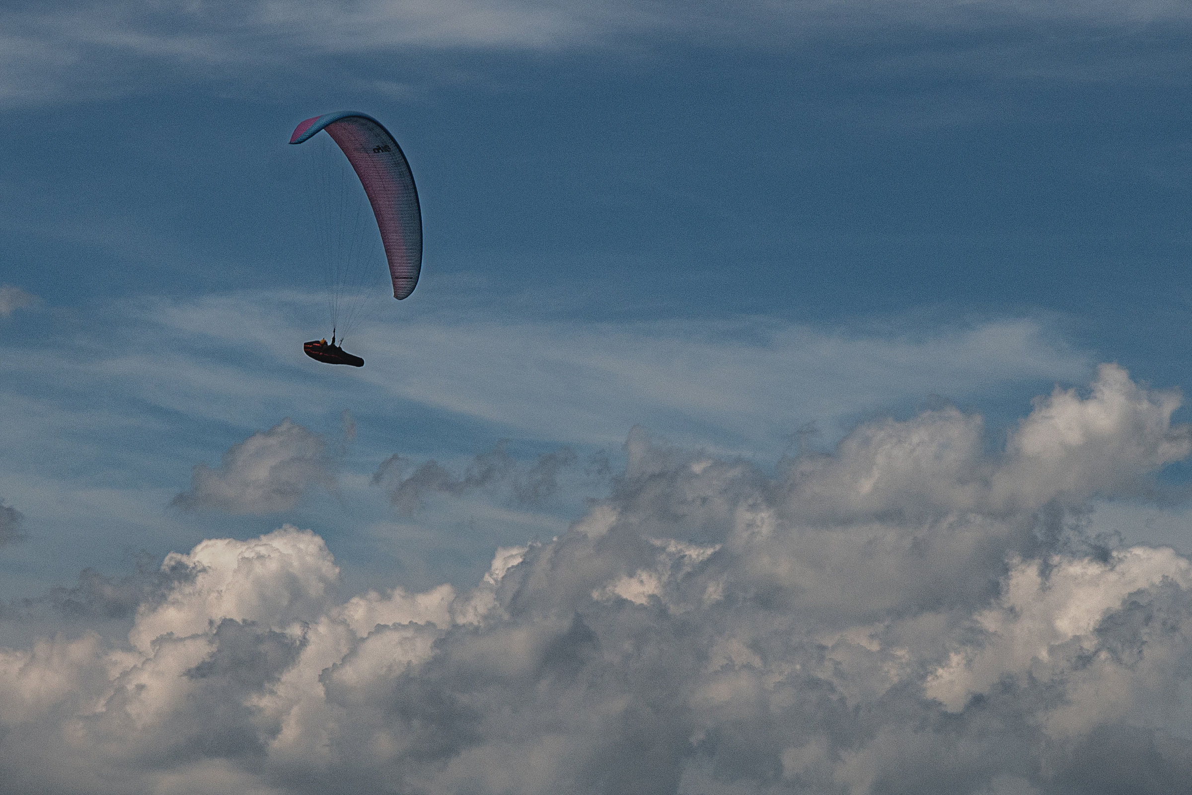 DSC_6566-1.jpg