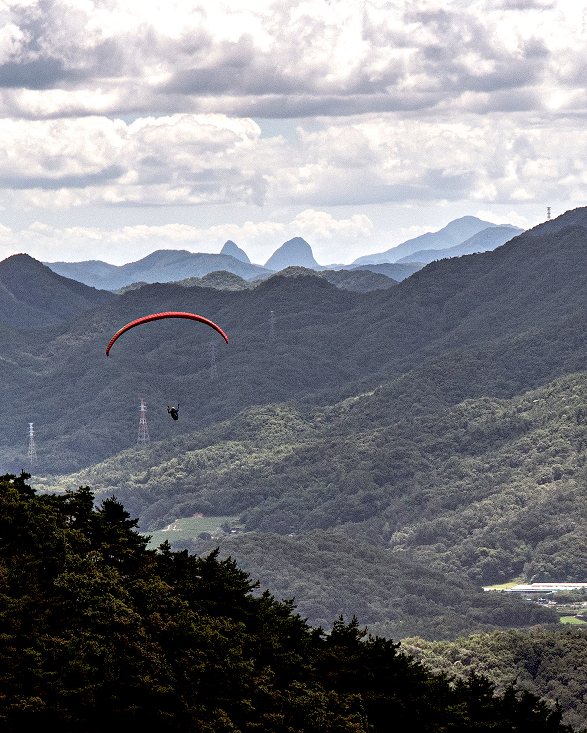 DSC_6513-a.jpg