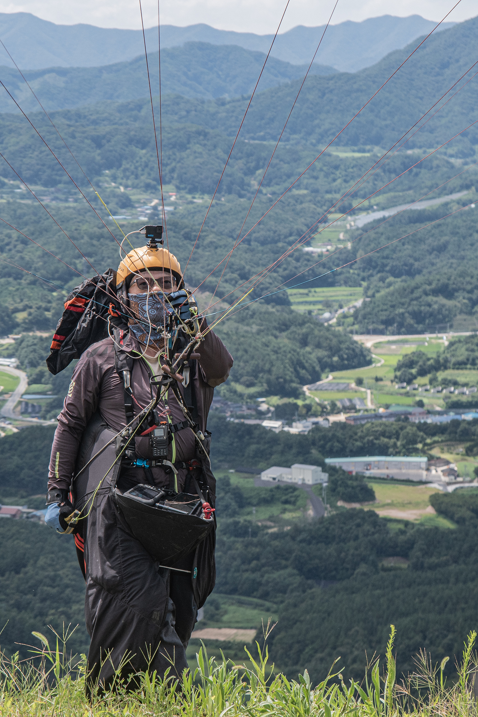 DSC_6556-1.jpg