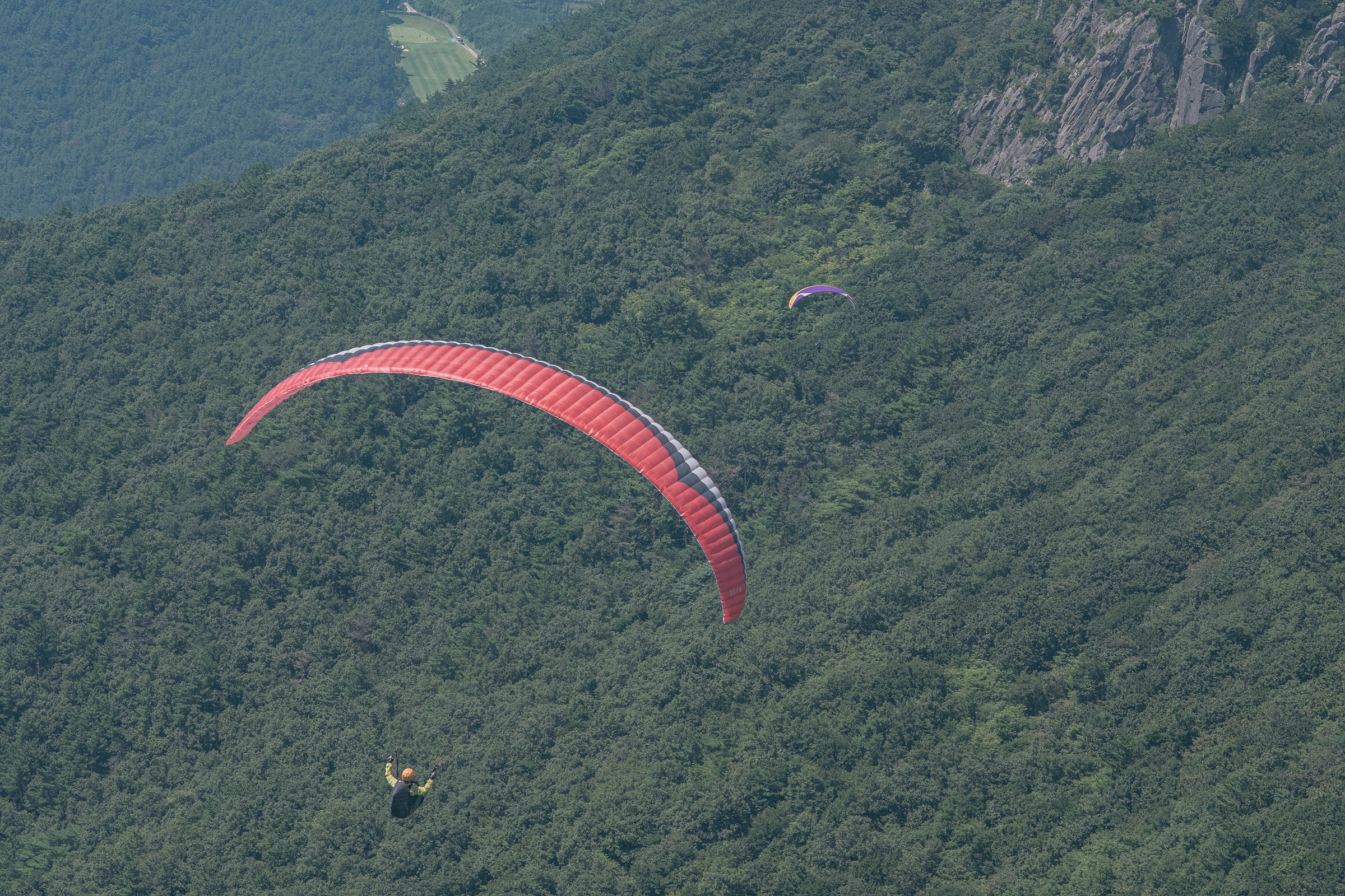 DSC_6785-1.jpg