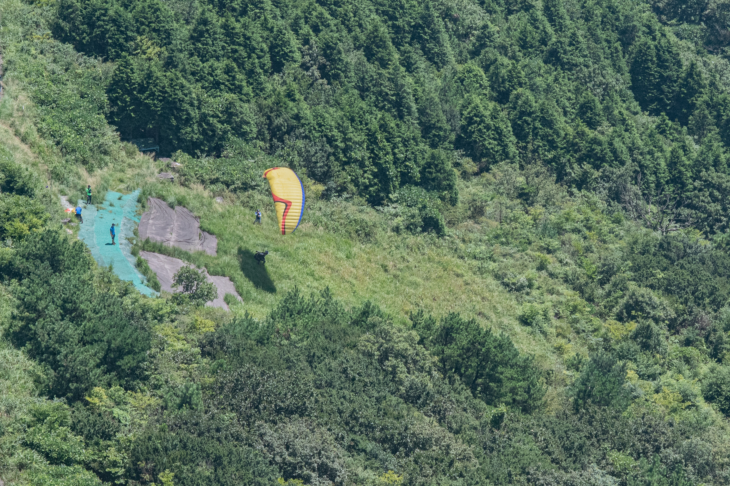 DSC_6829-1.jpg