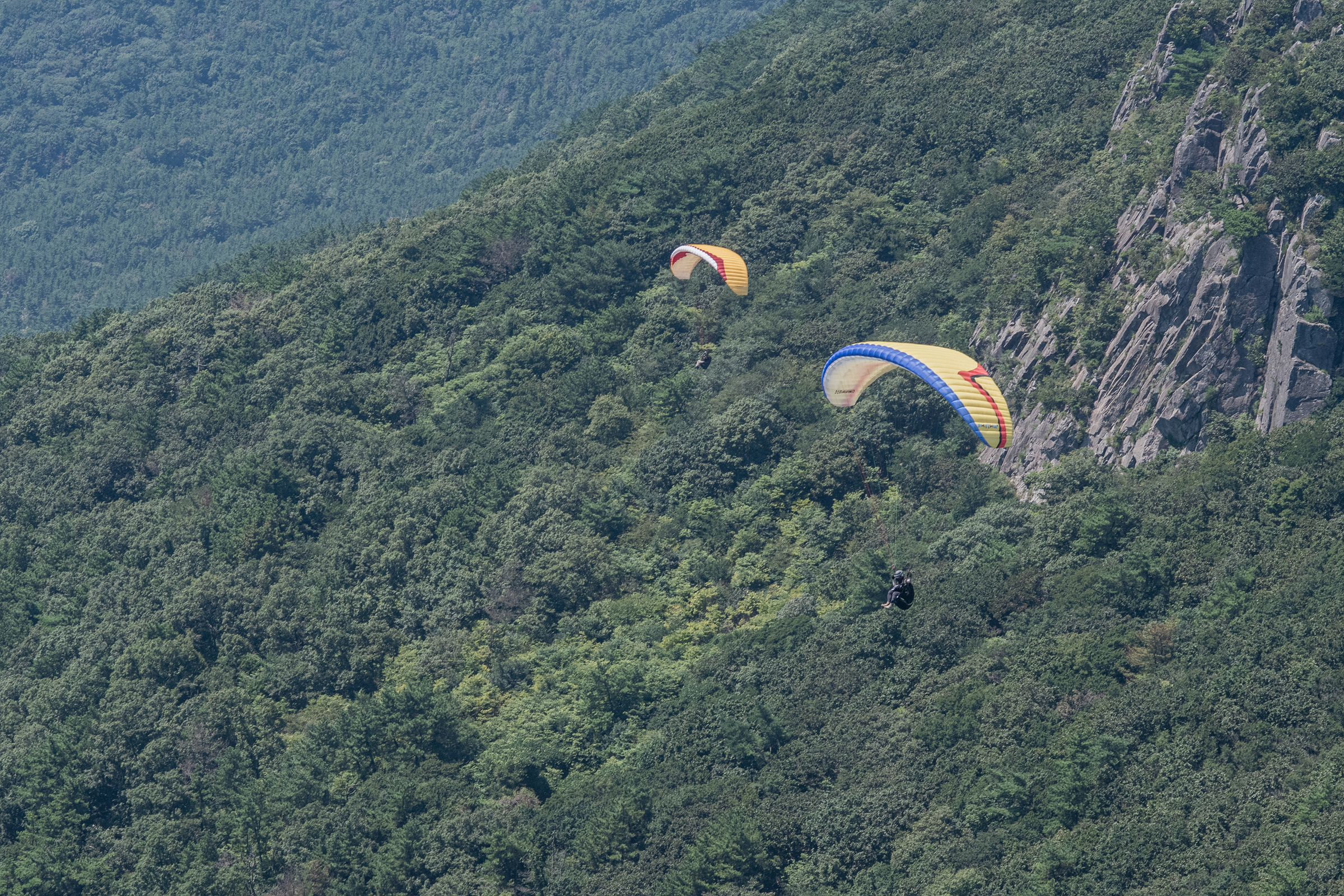 DSC_6963-1.jpg