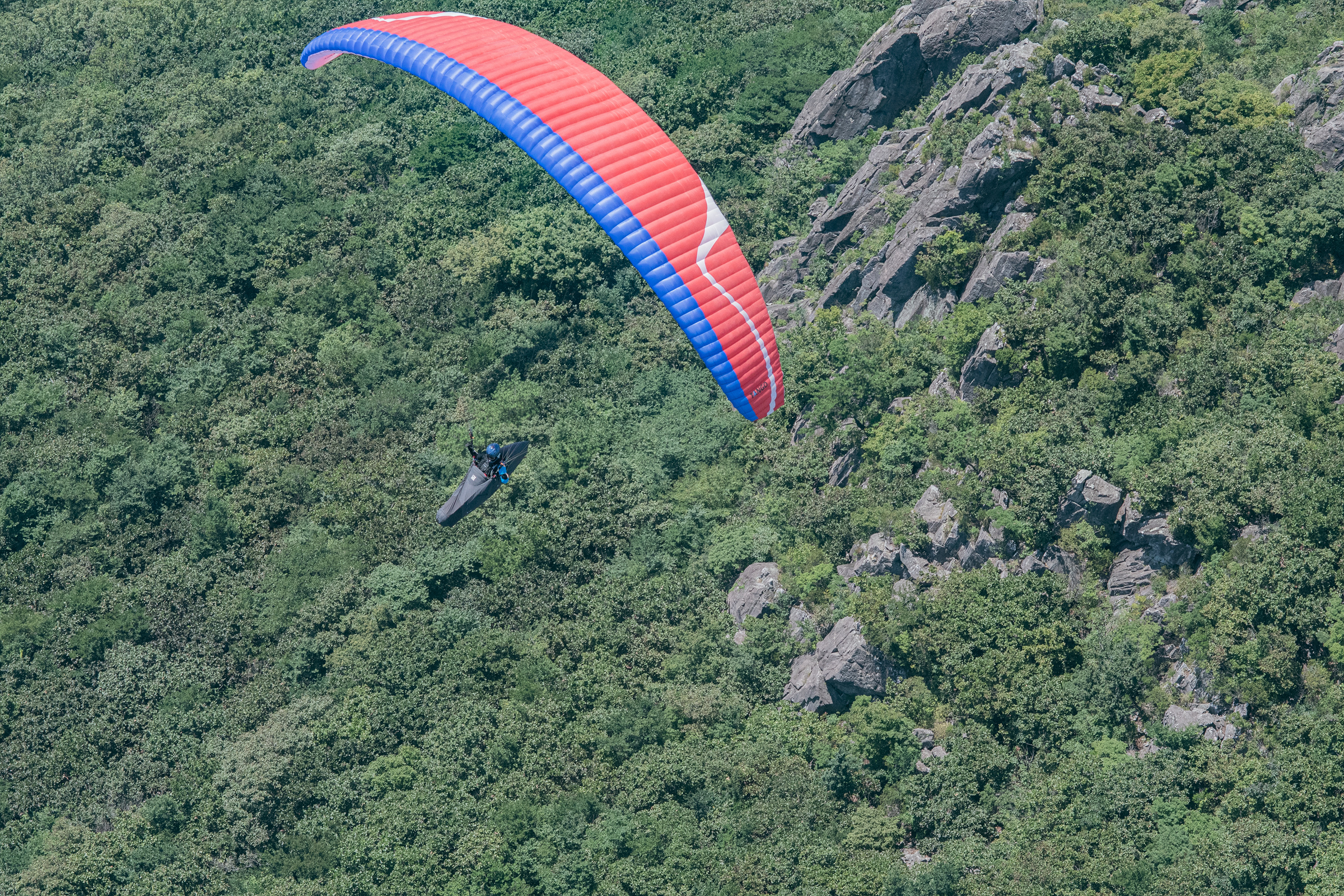 DSC_6872-1.jpg