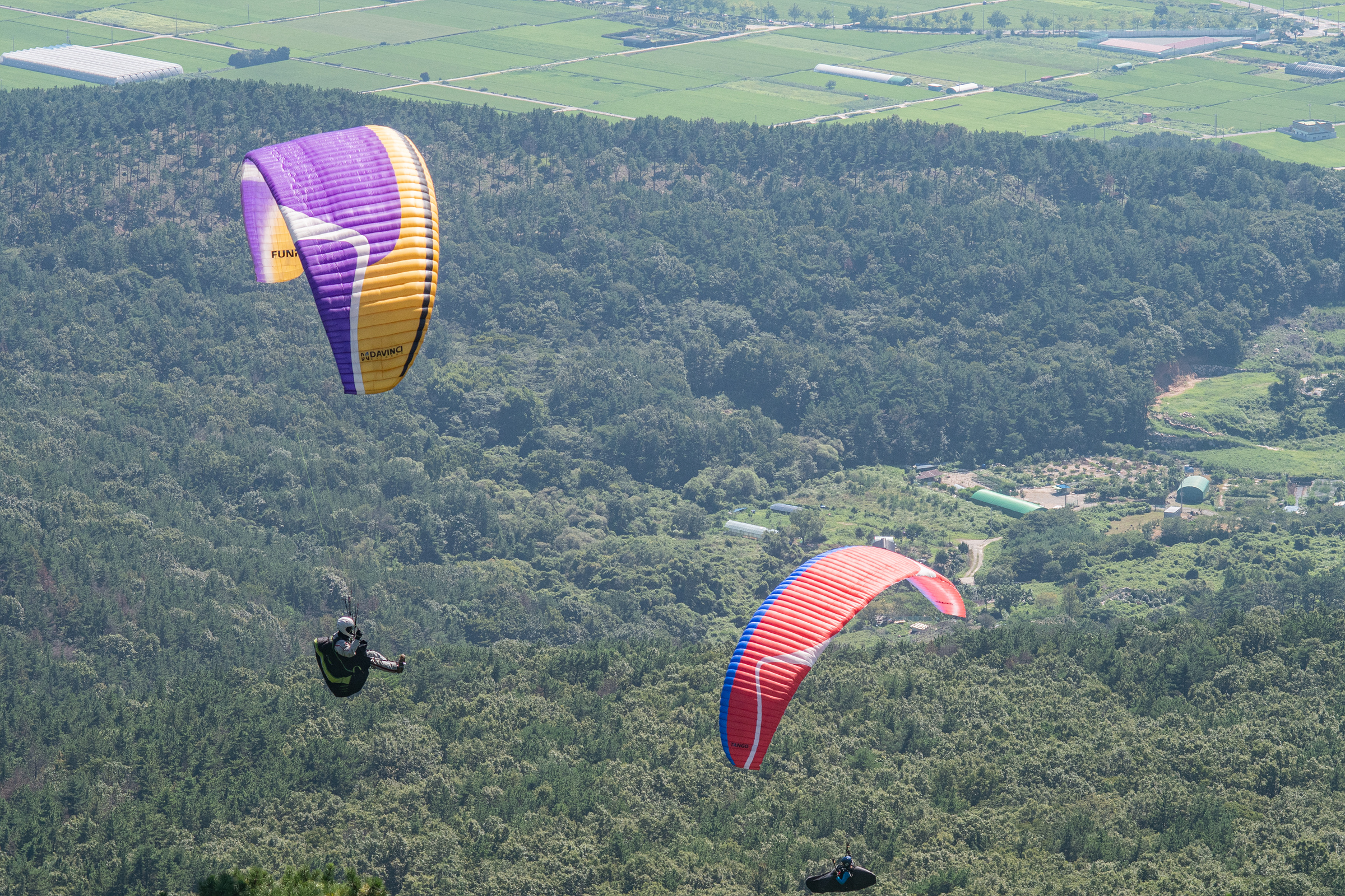 DSC_7051-1.jpg