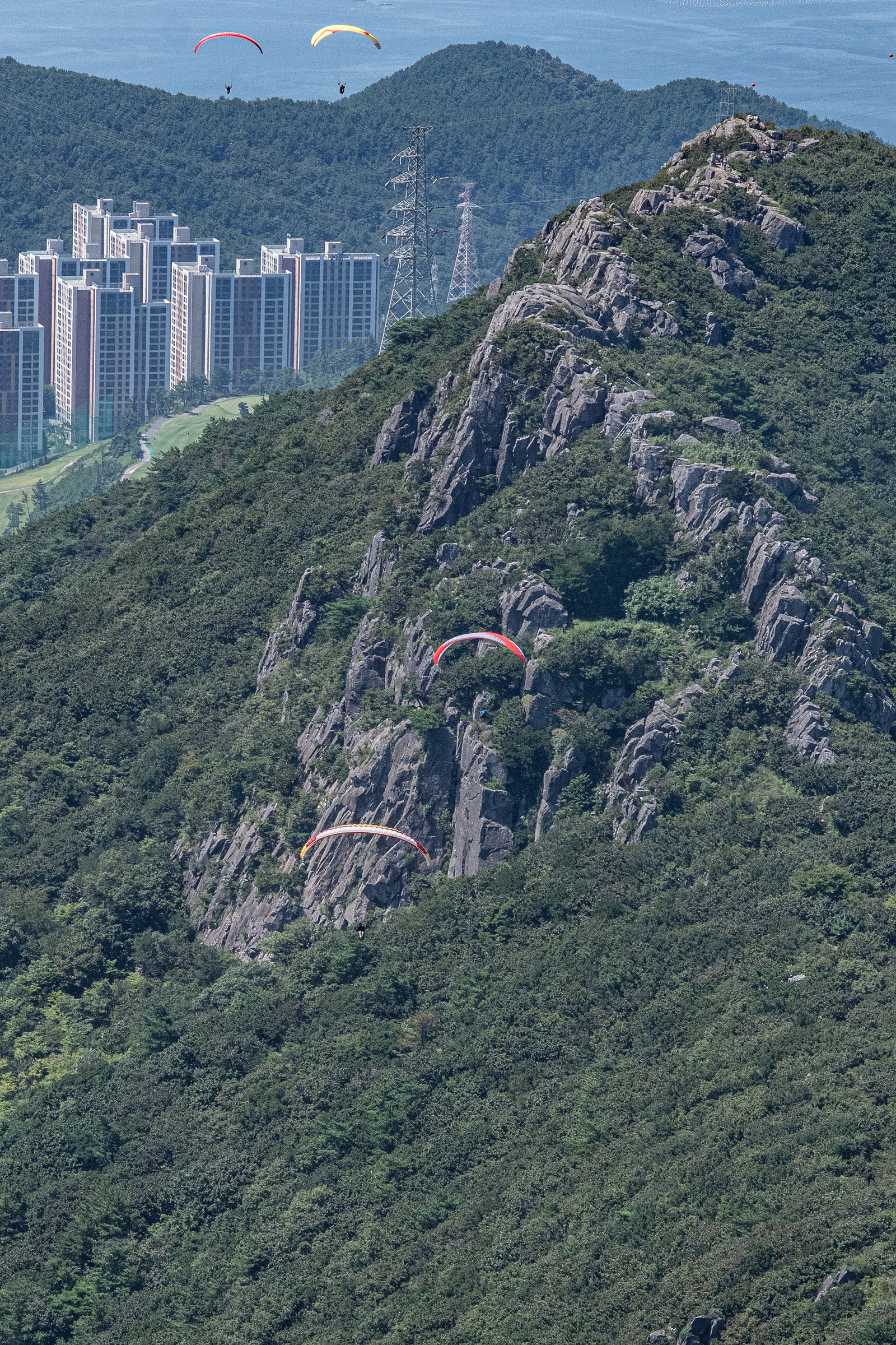 DSC_6937-1.jpg