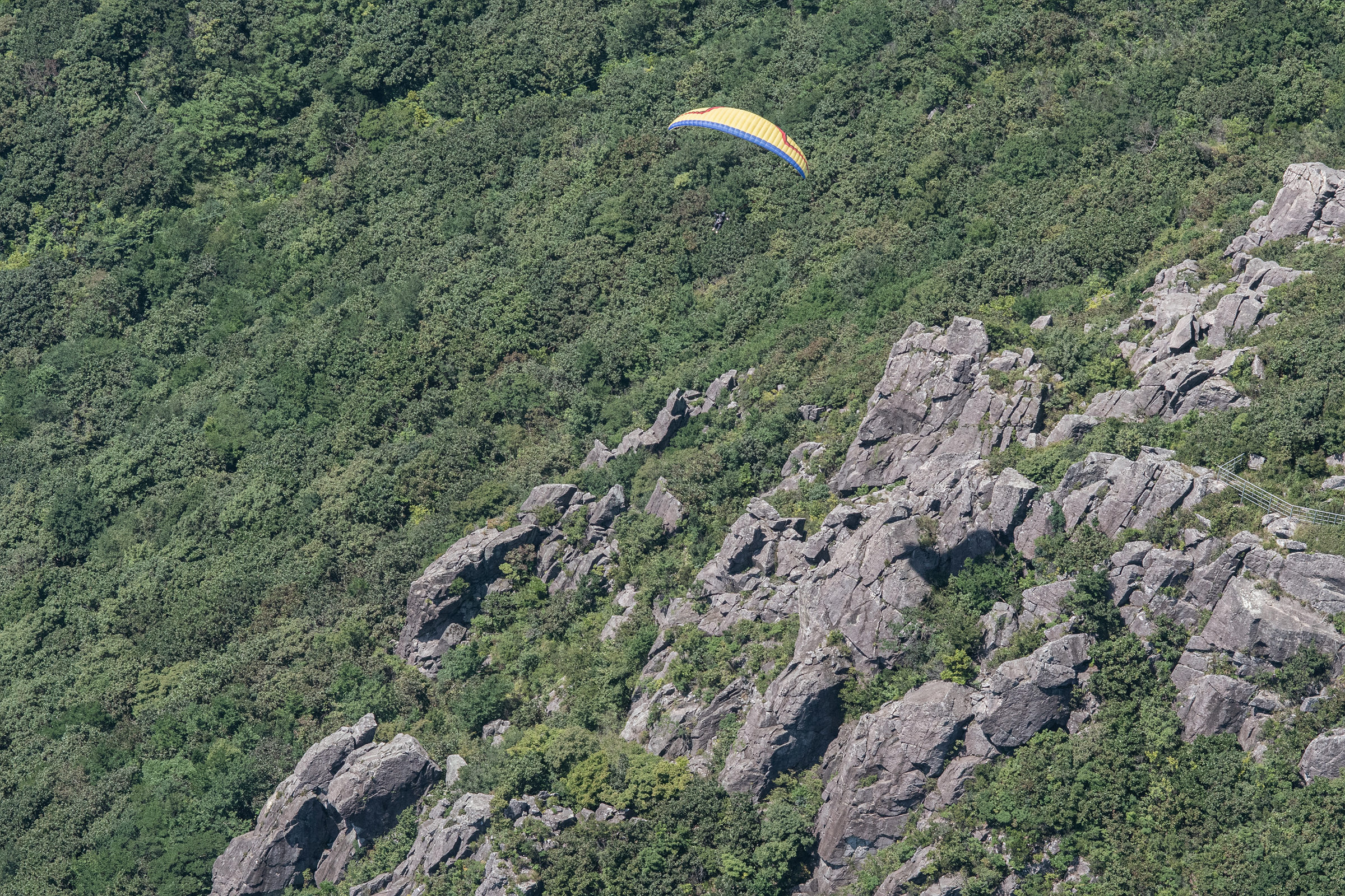 DSC_6896-1.jpg