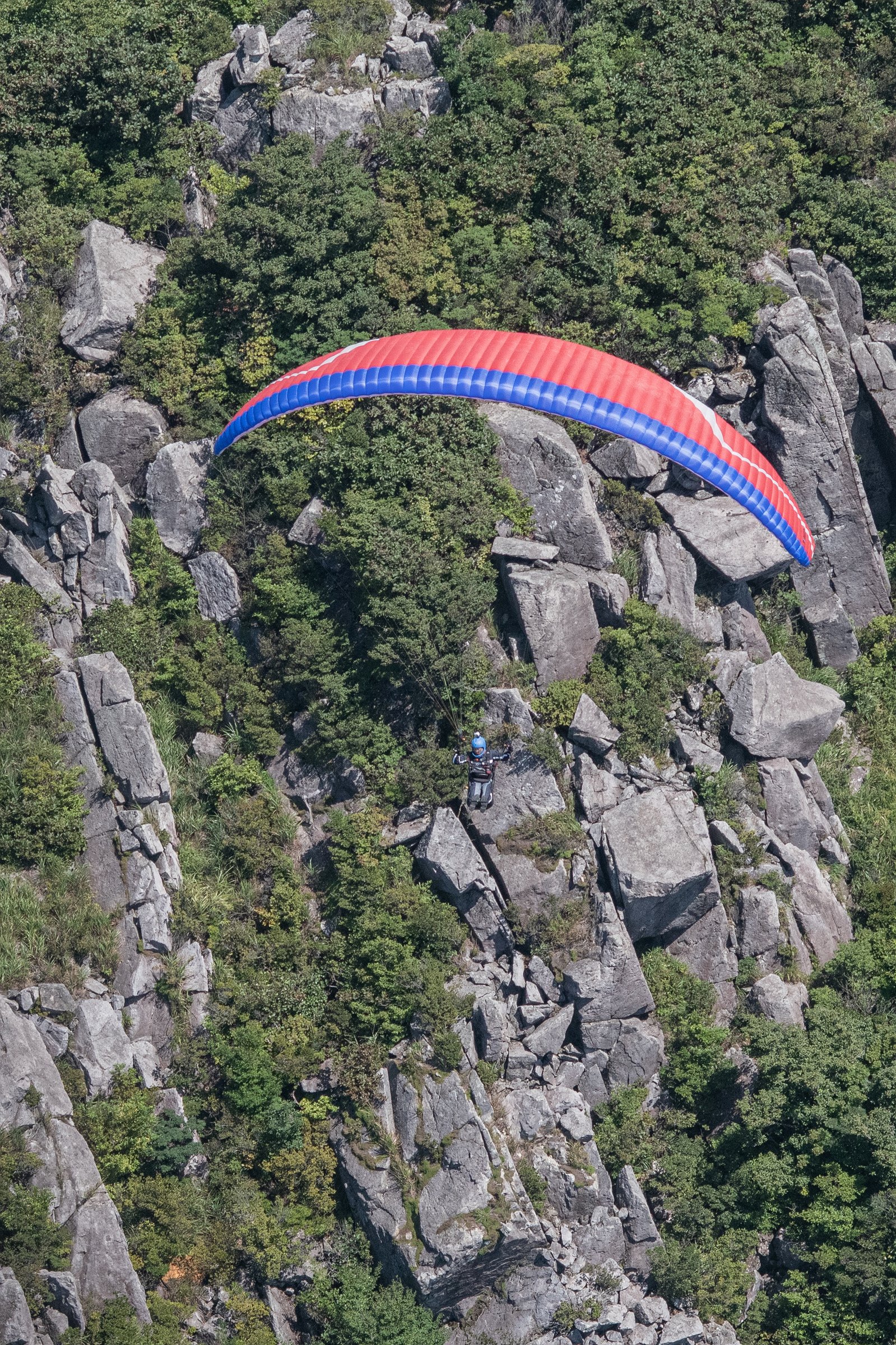DSC_7019-1.jpg