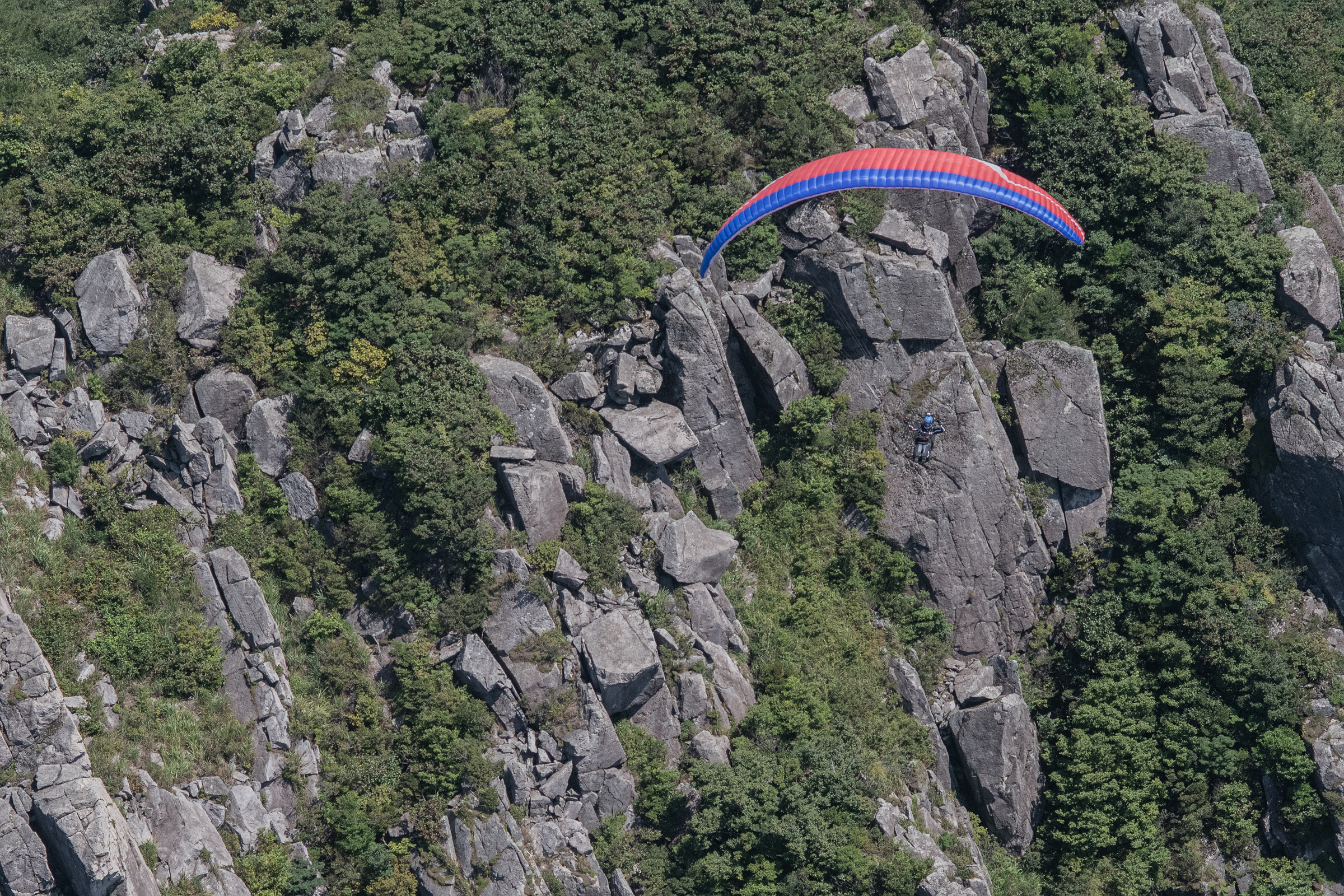 DSC_7012-1.jpg