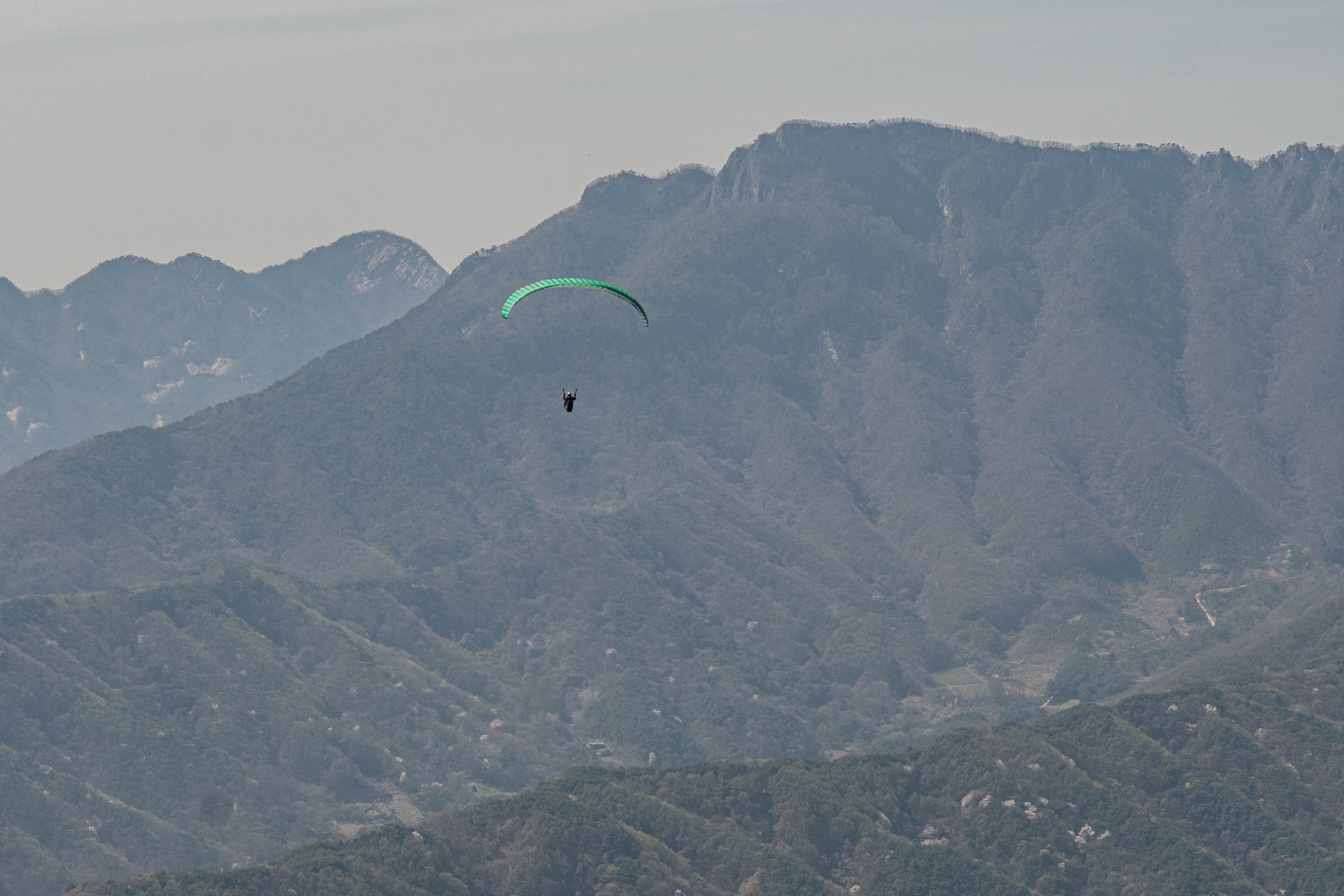 DSC_4541-1.jpg