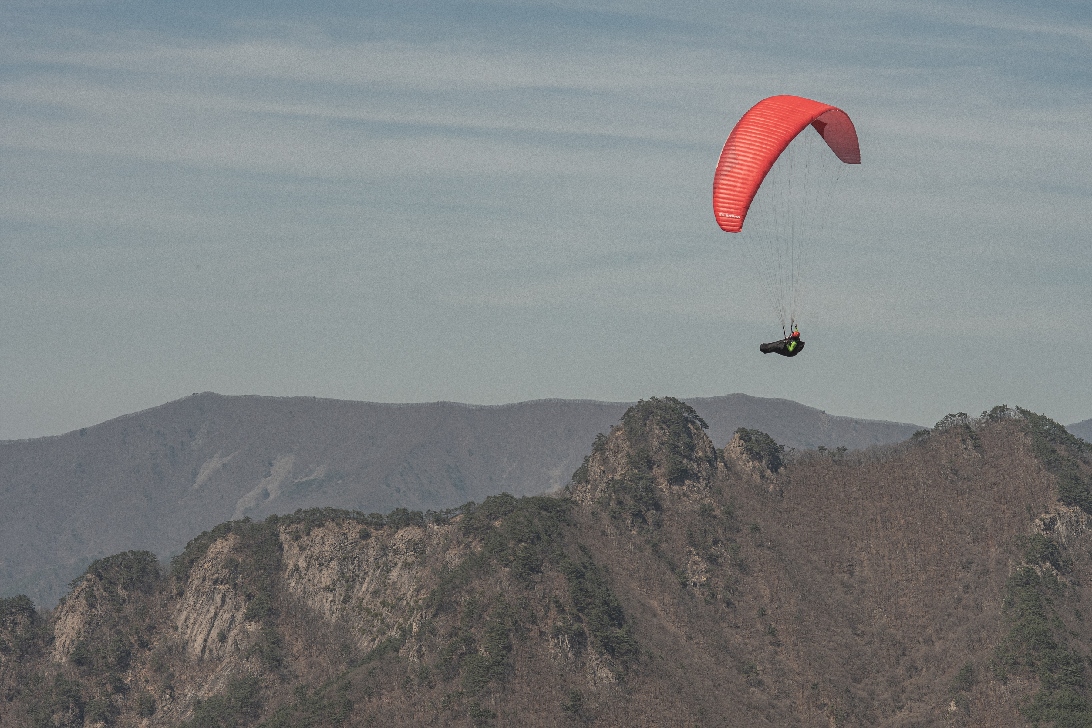 DSC_4530-1.jpg