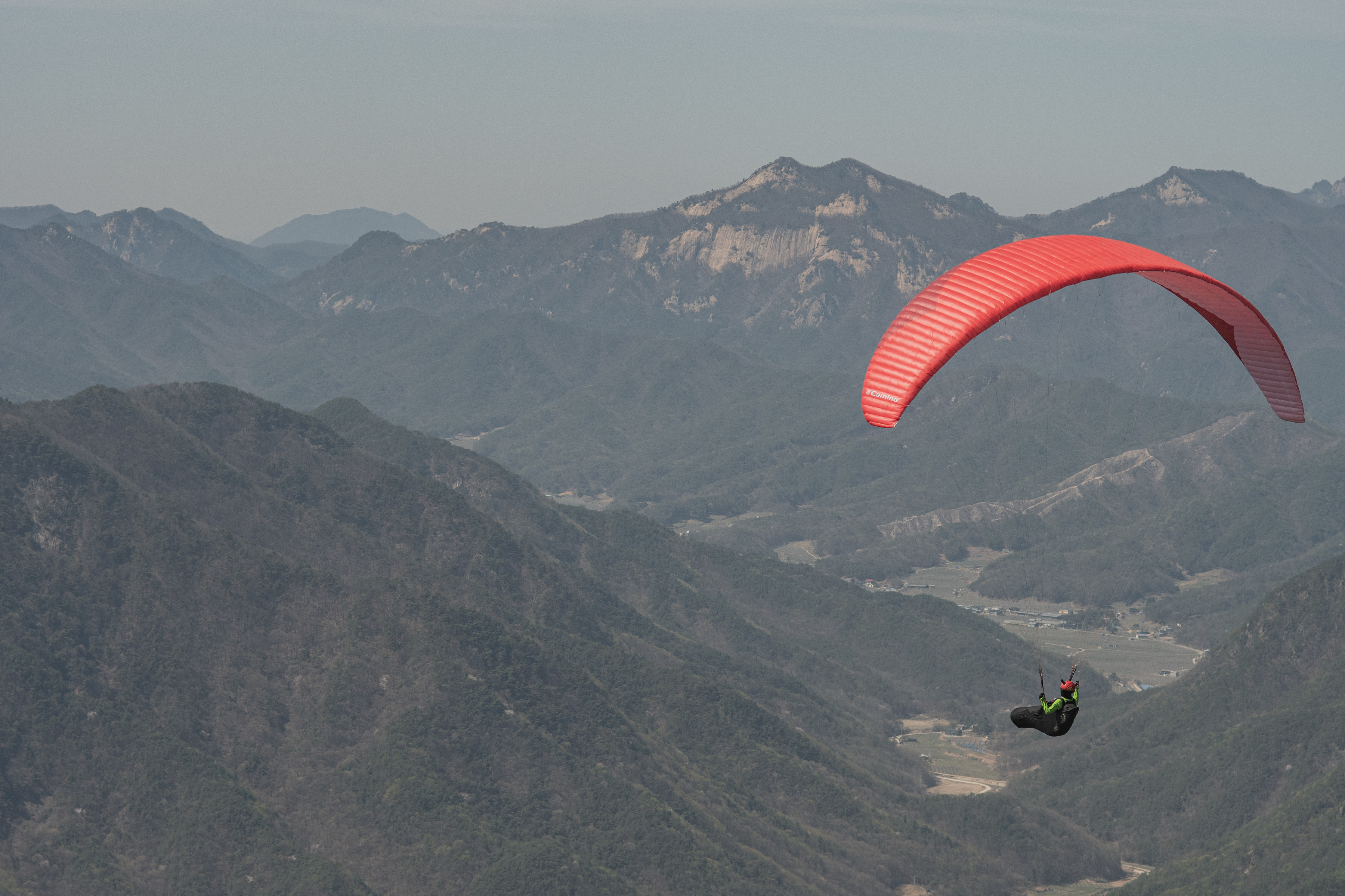DSC_4564-1.jpg