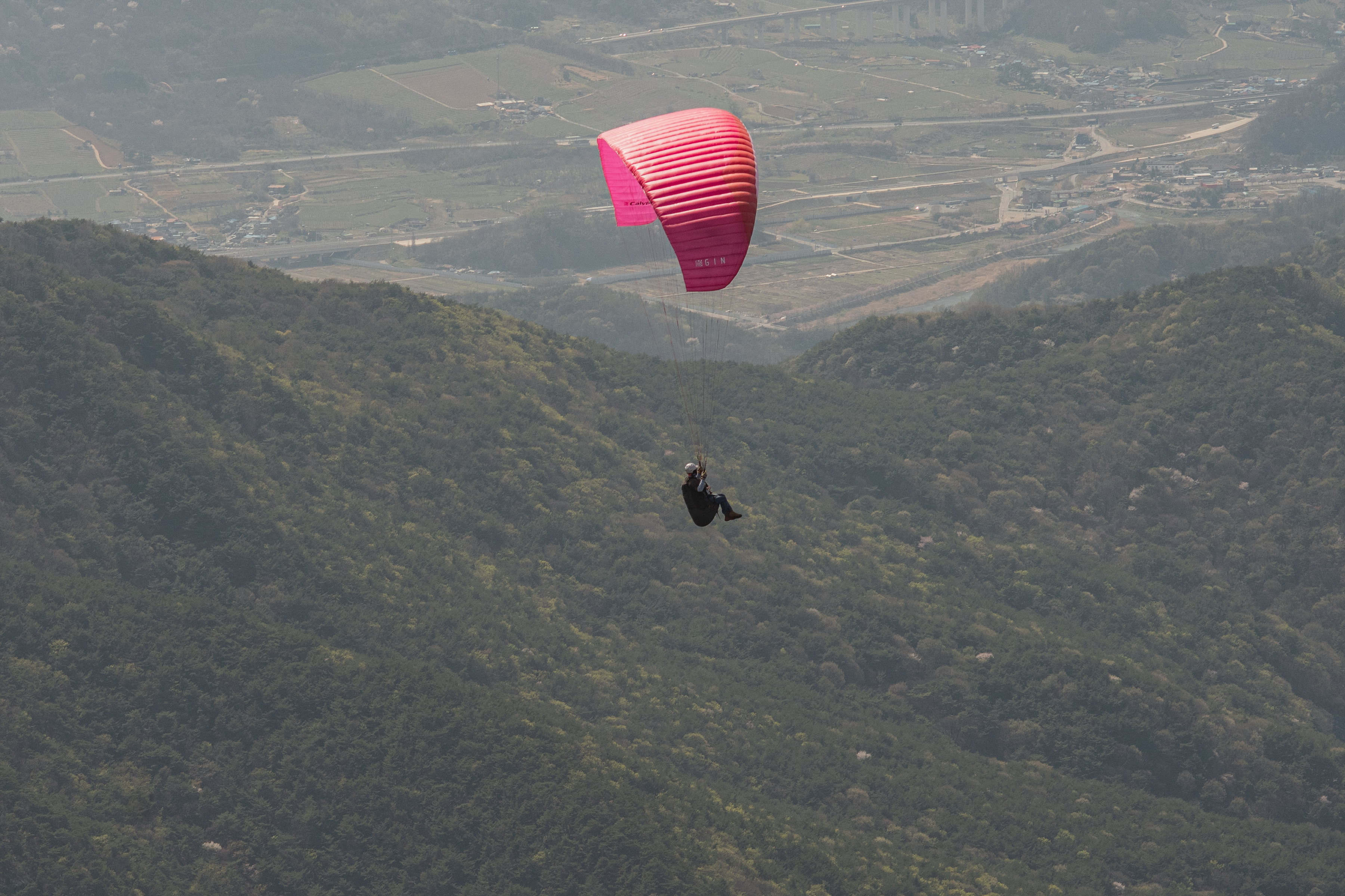 DSC_4614-1.jpg