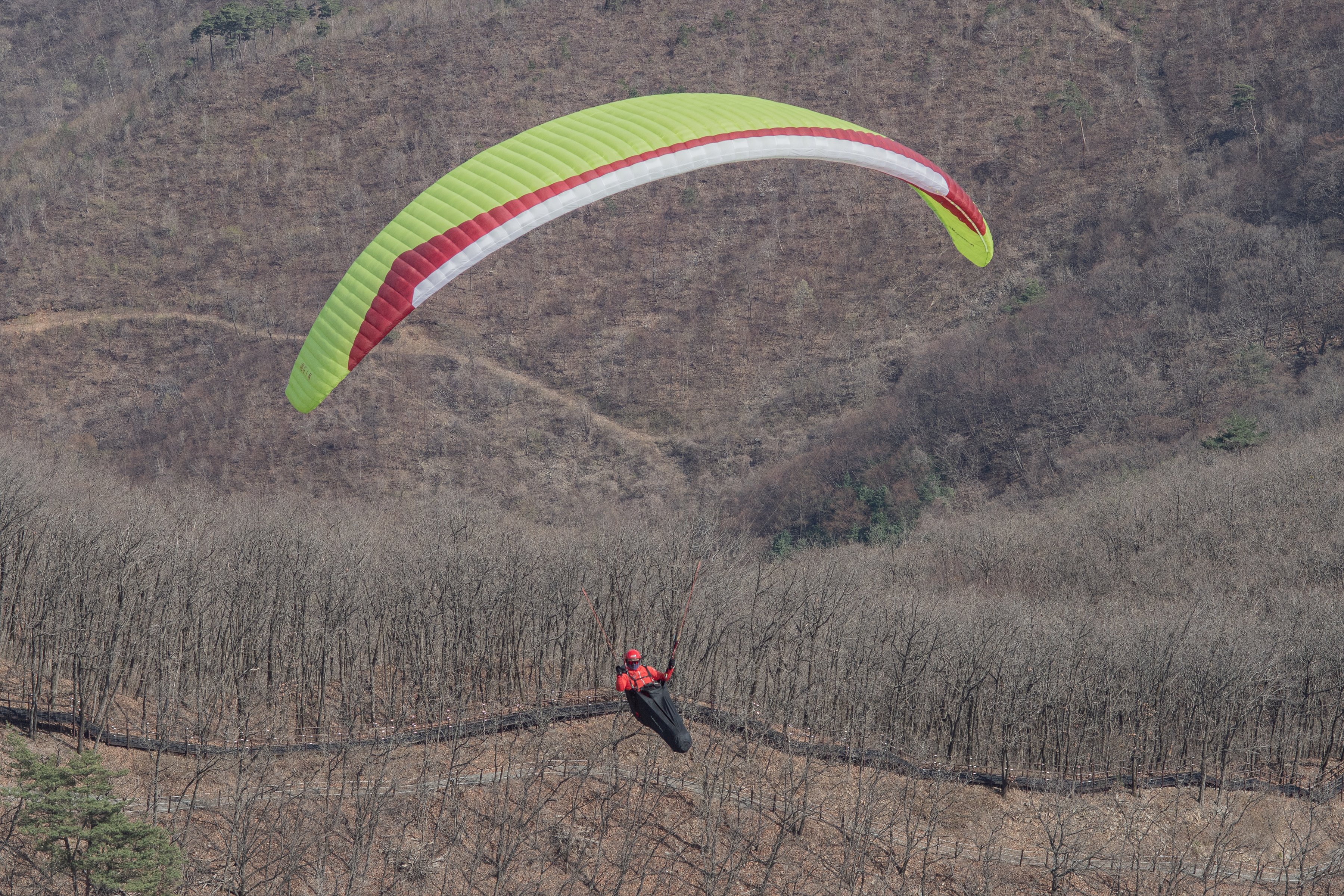 DSC_4656-1.jpg