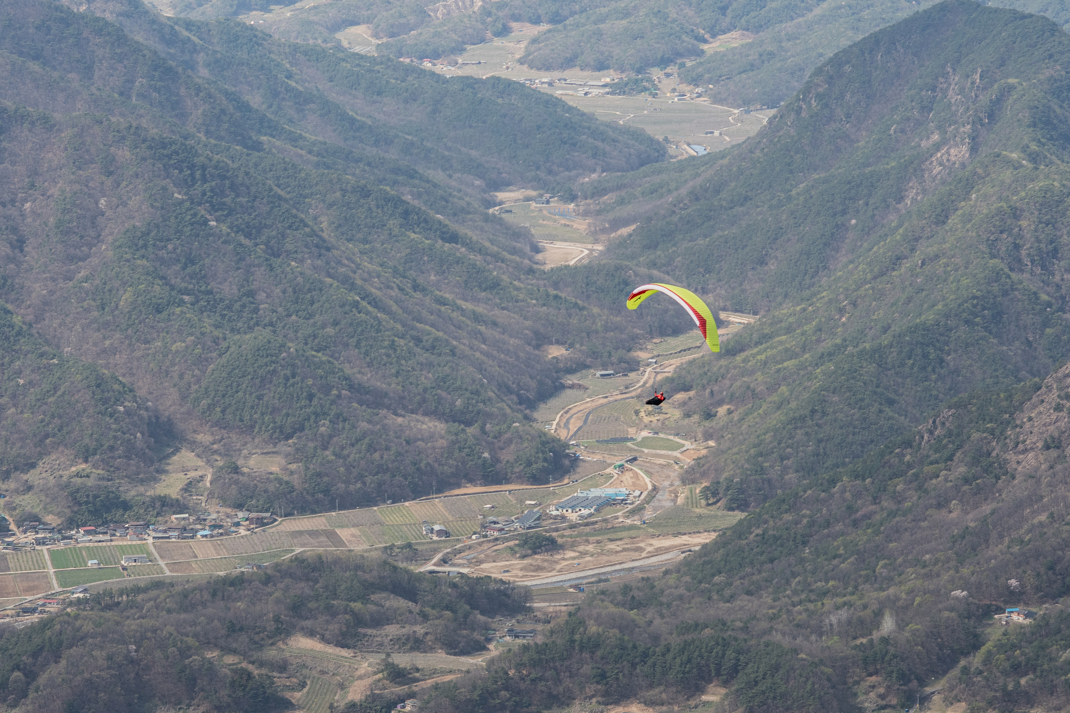 DSC_4677-1.jpg