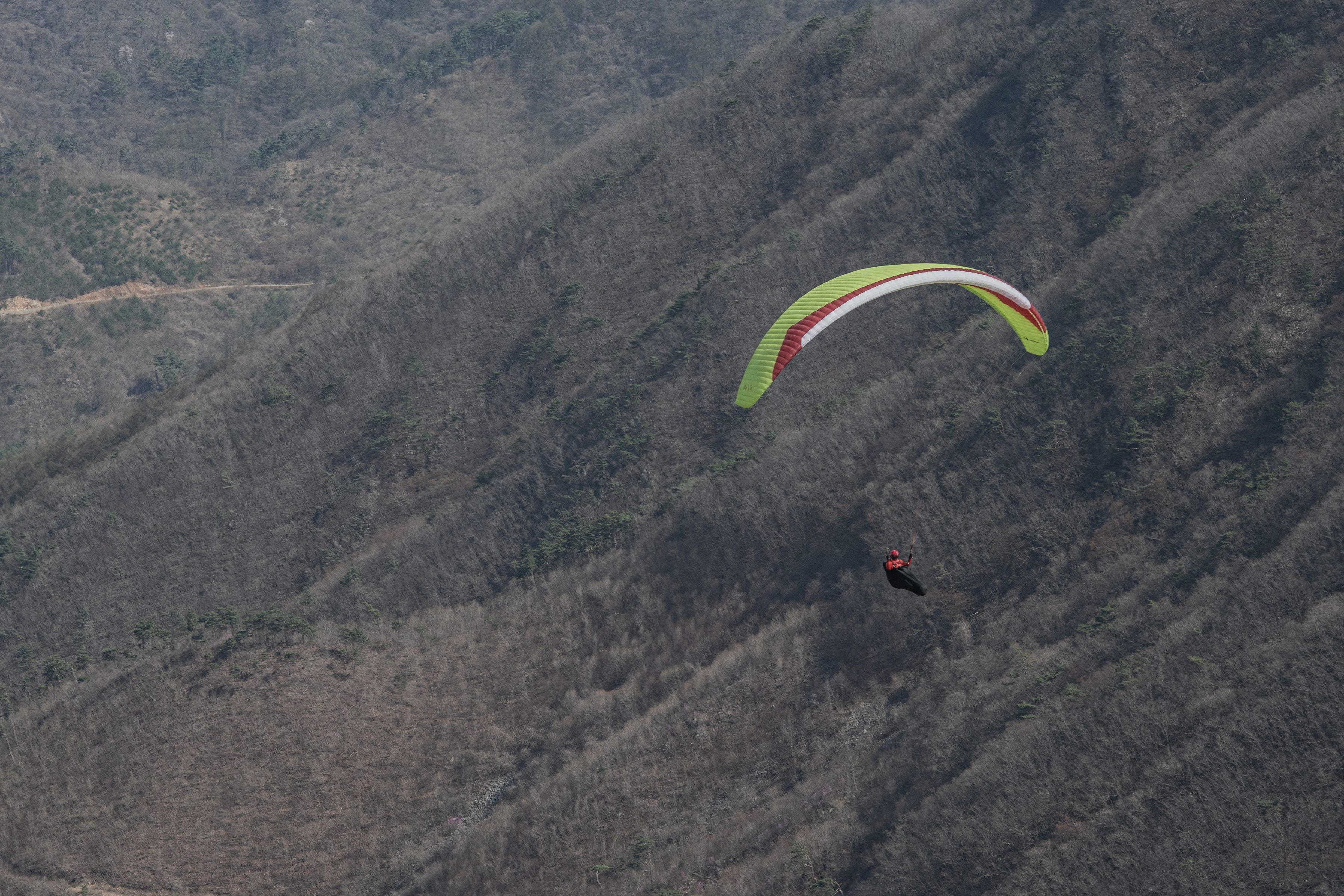 DSC_4628-1.jpg