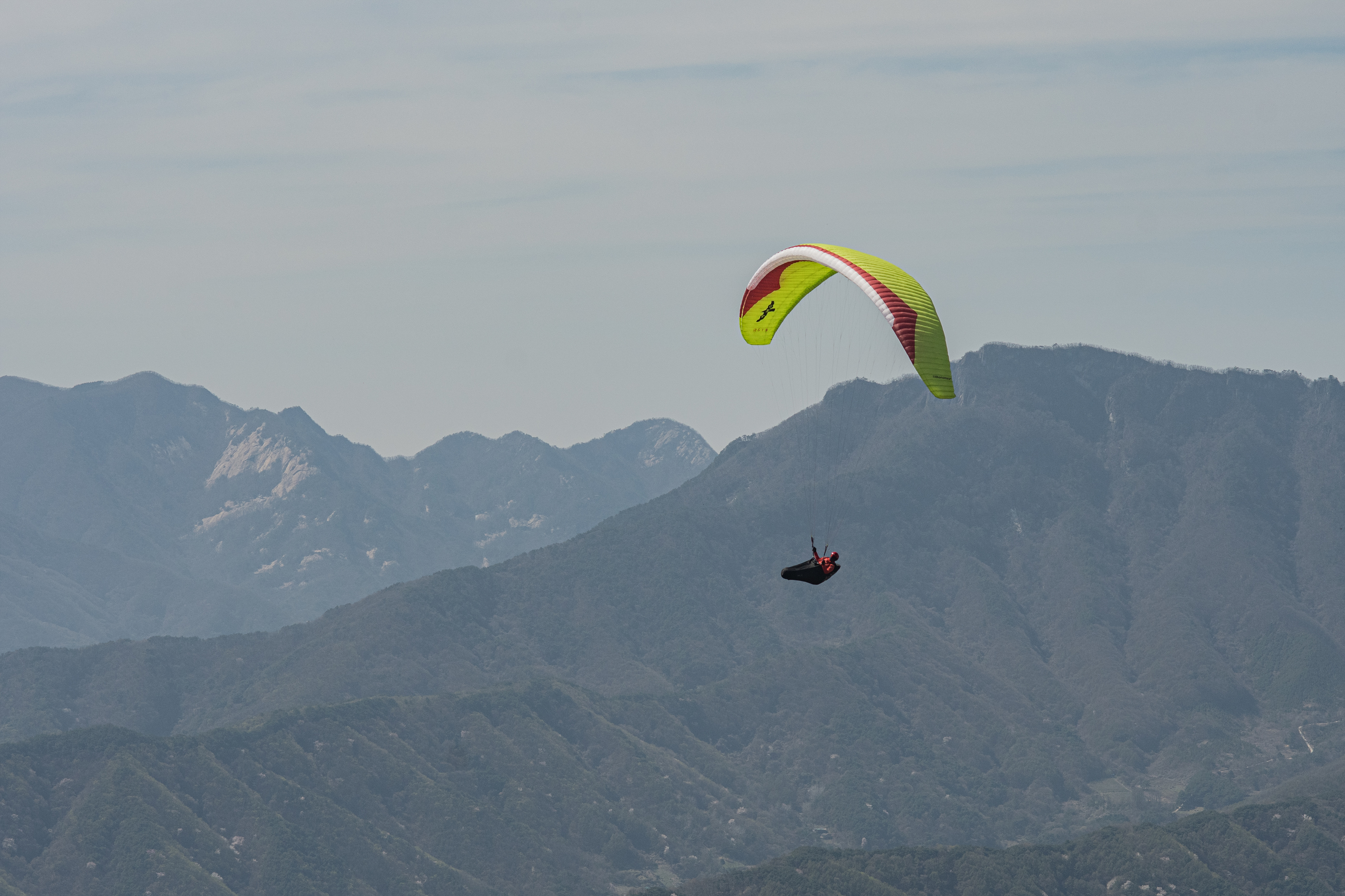 DSC_4580-1.jpg
