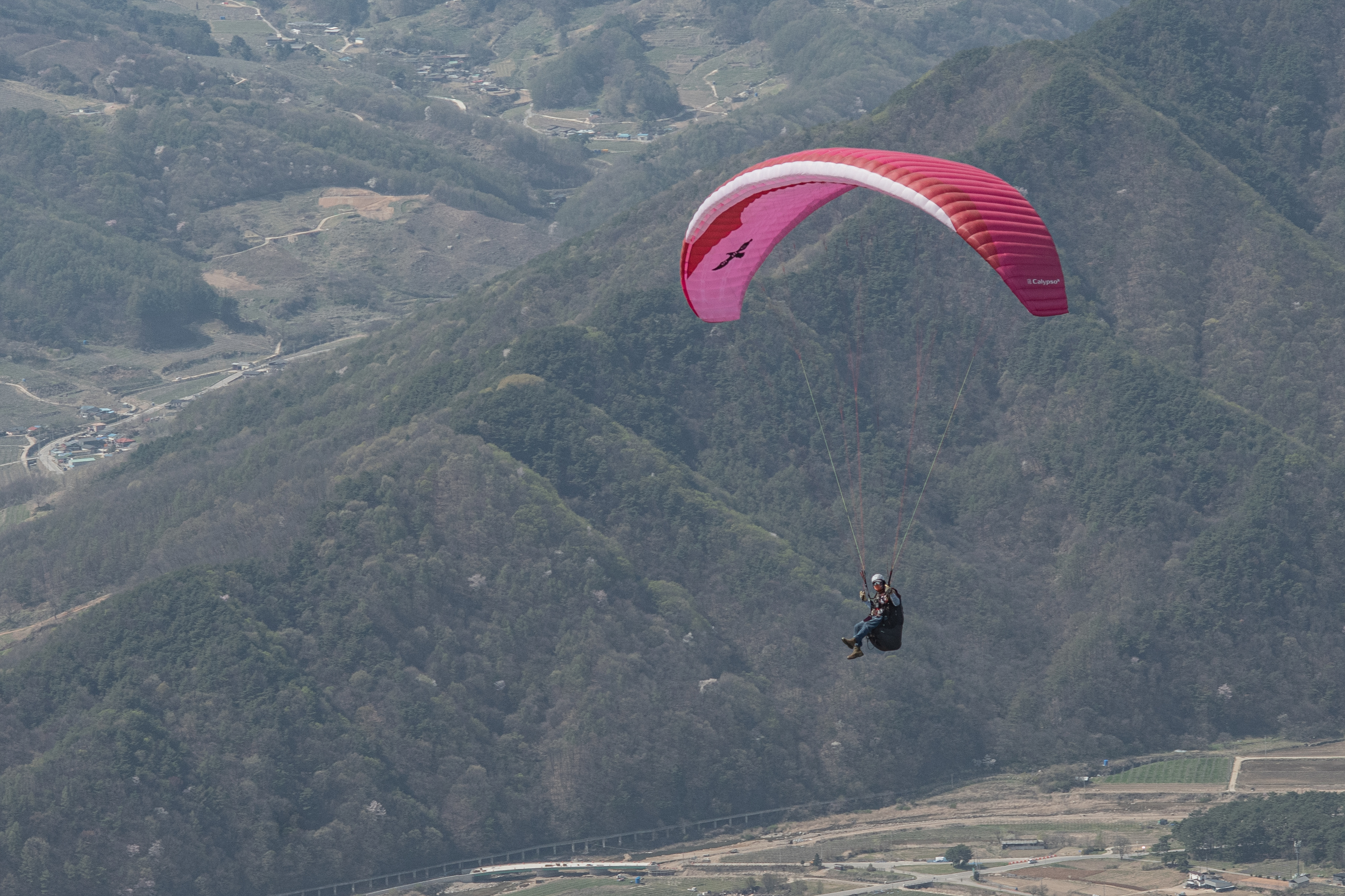 DSC_4600-1.jpg