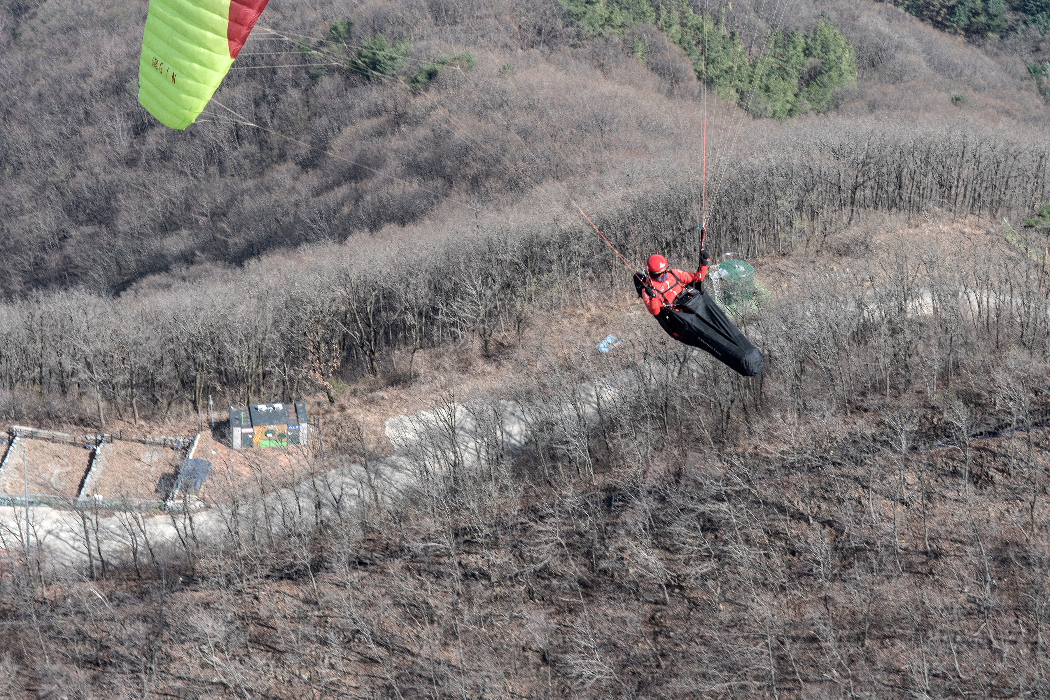 DSC_4626-1.jpg