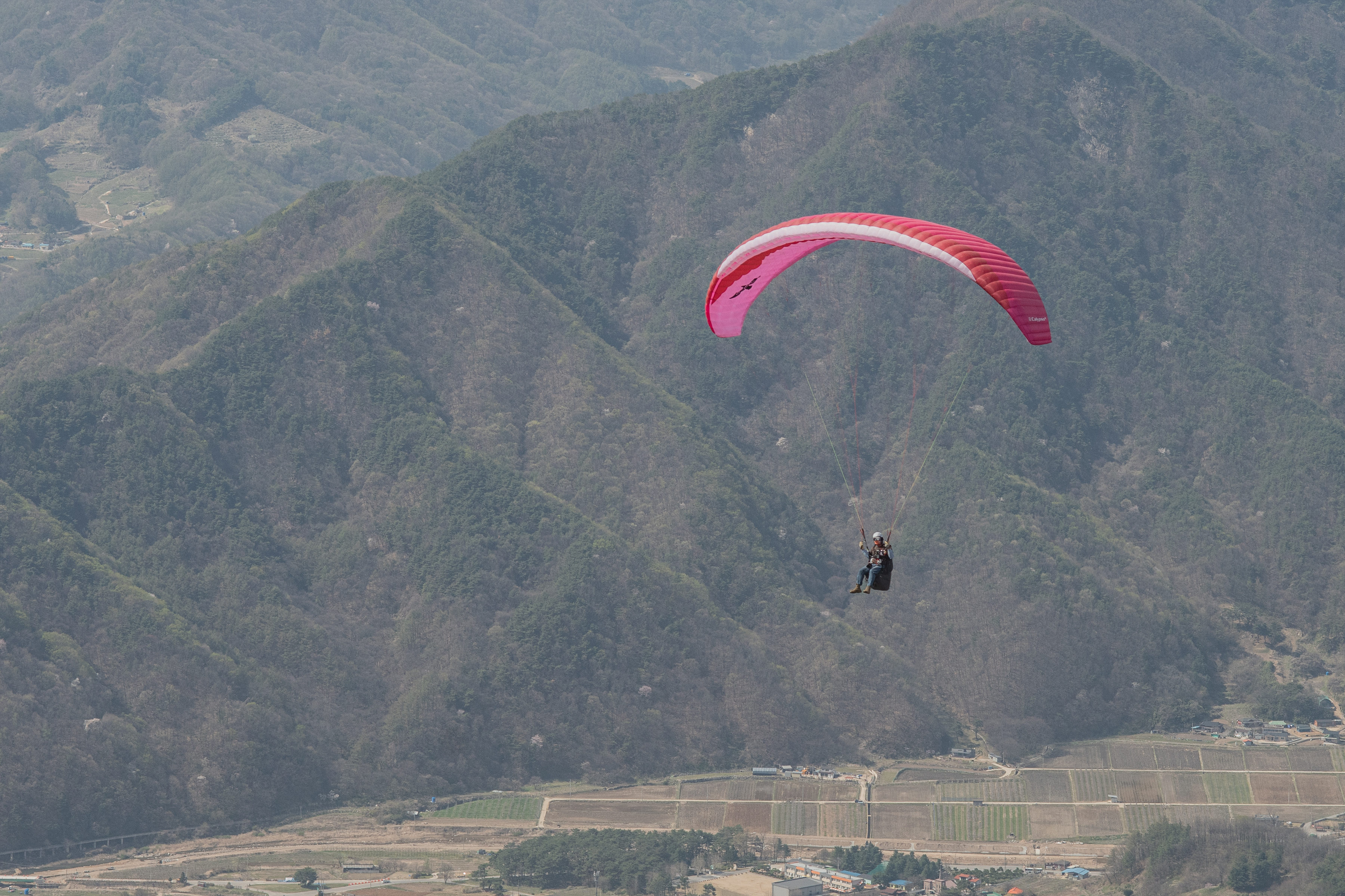 DSC_4594-1.jpg