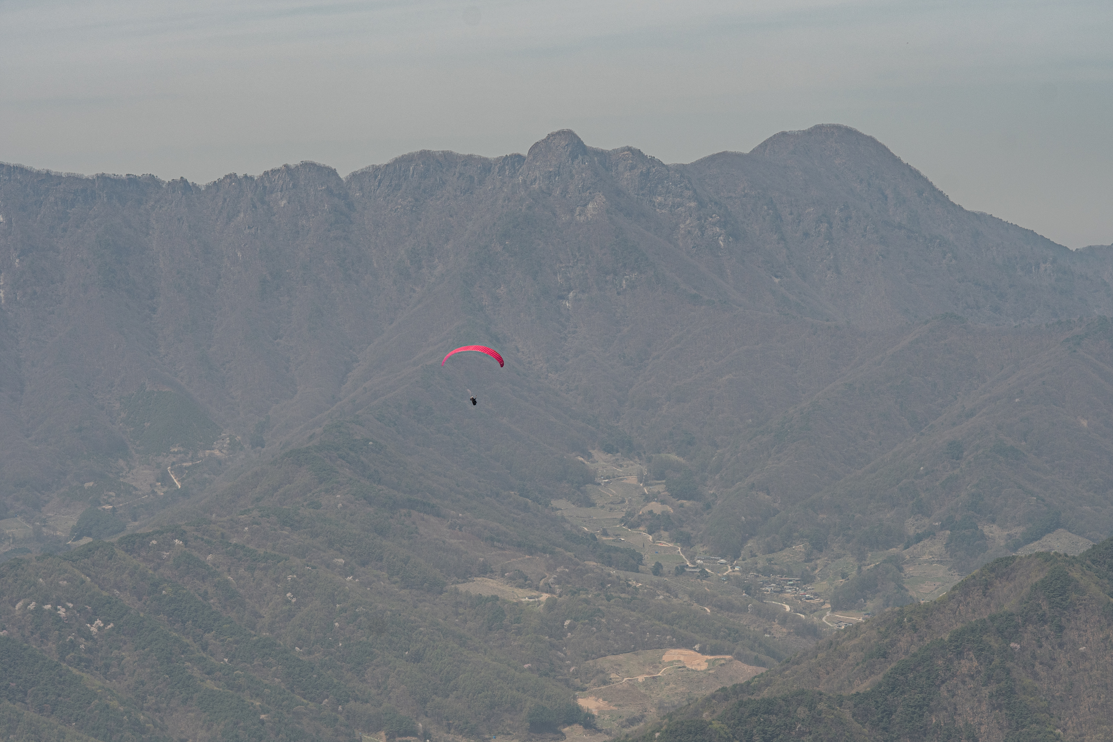 DSC_4451-1.jpg