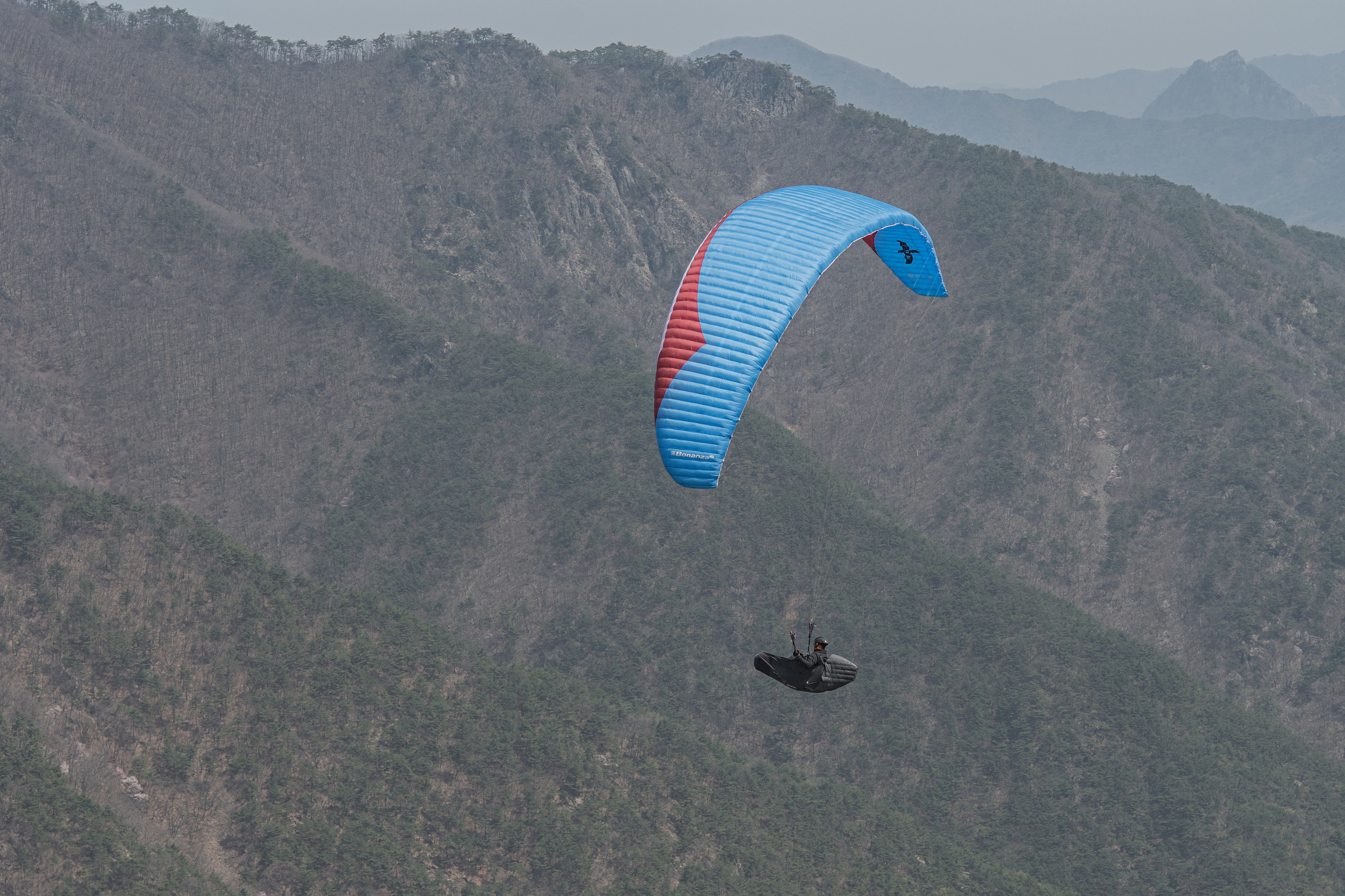 DSC_4384-1.jpg