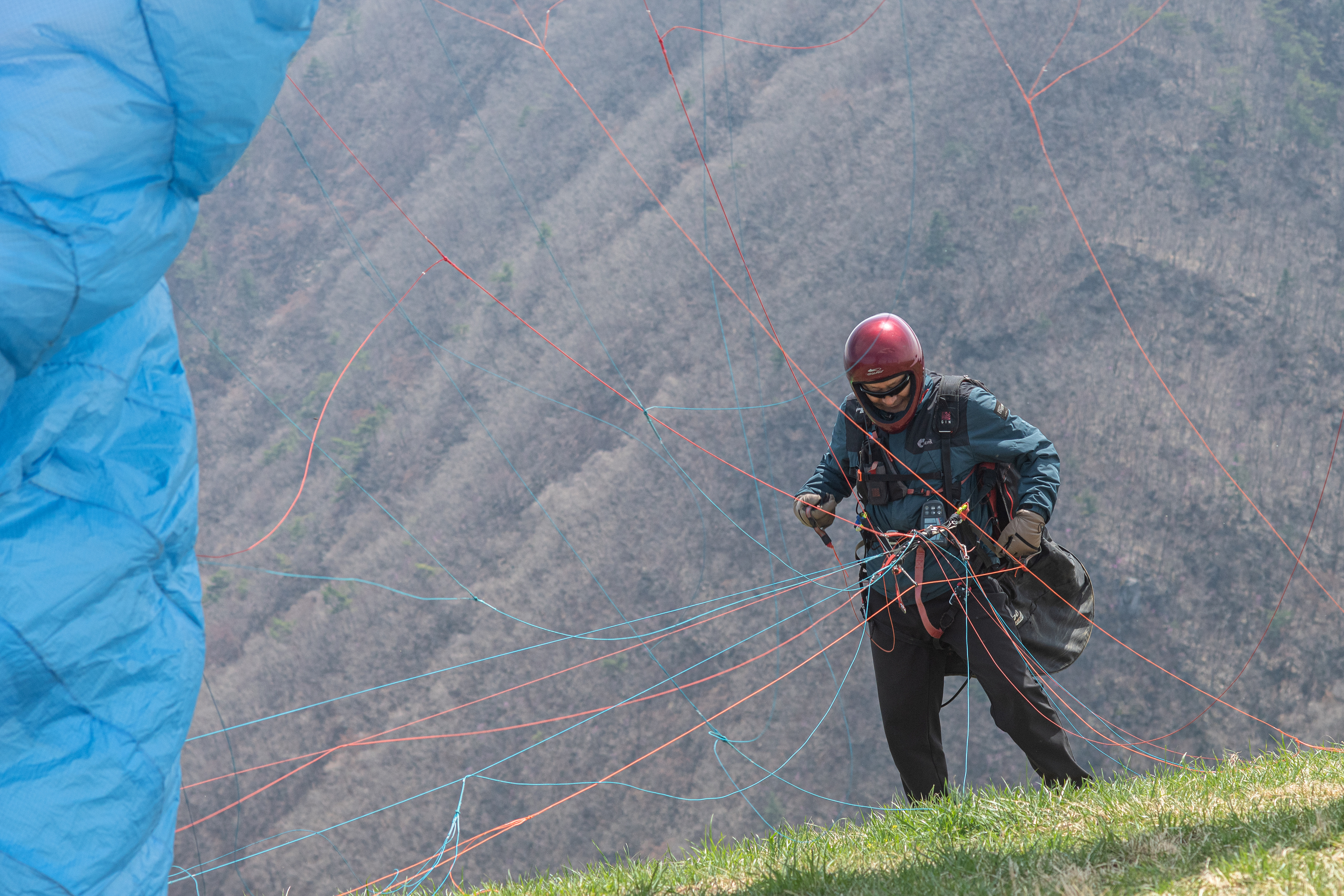 DSC_4424-1.jpg