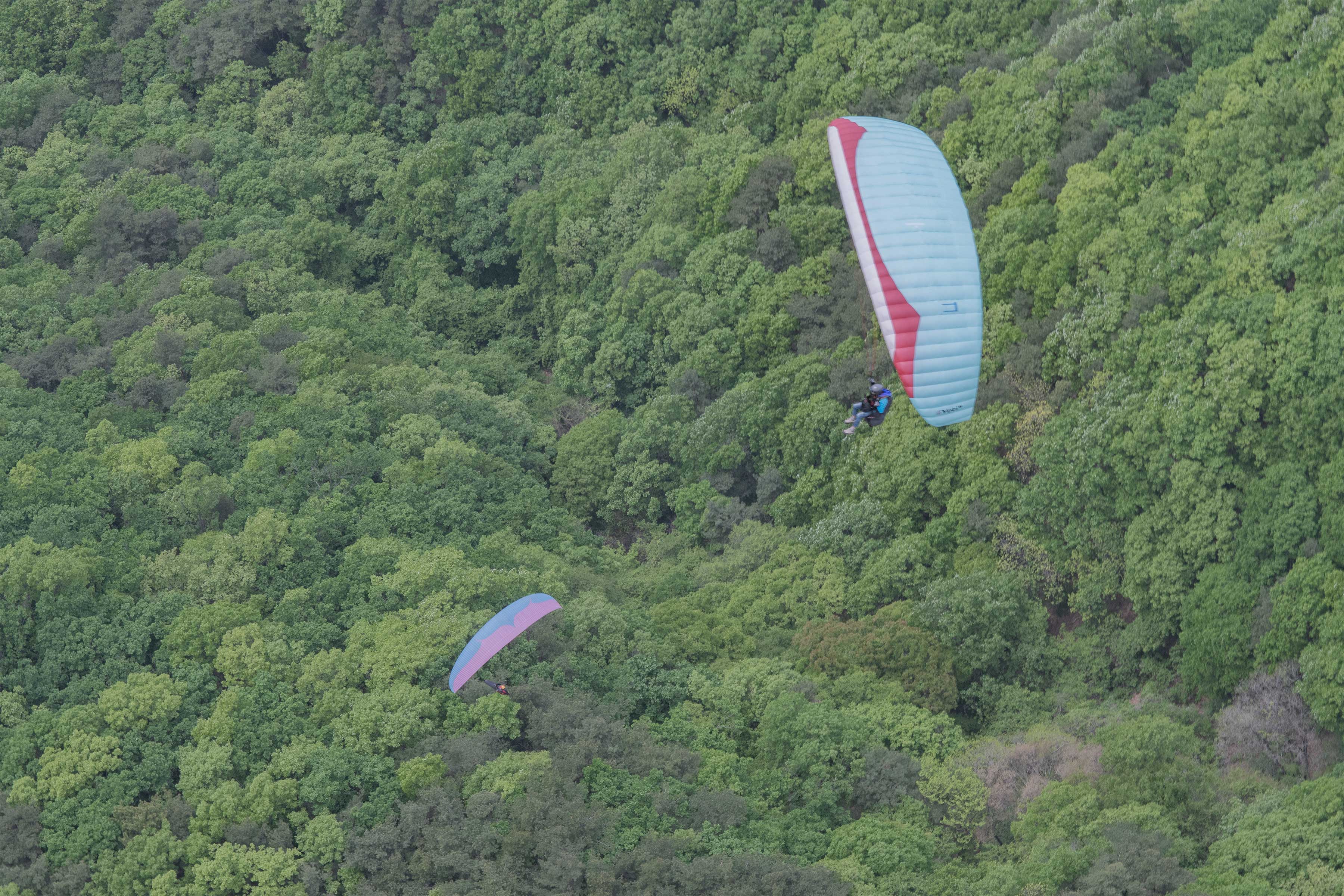 DSC_5030-1.jpg
