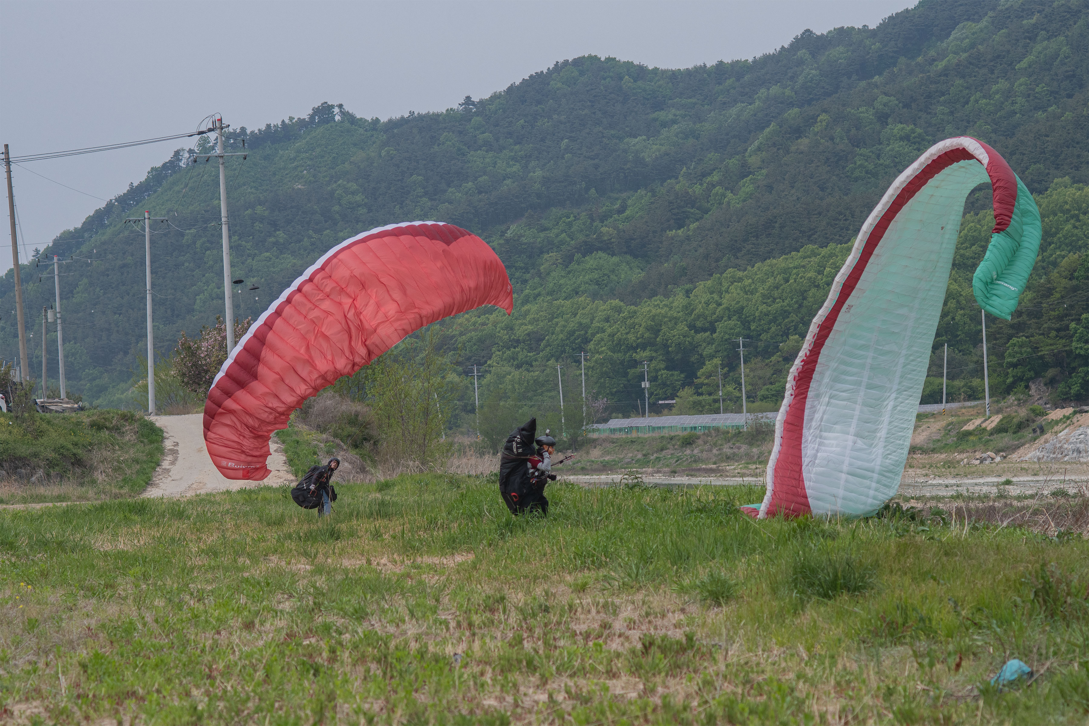 DSC_5405-1.jpg
