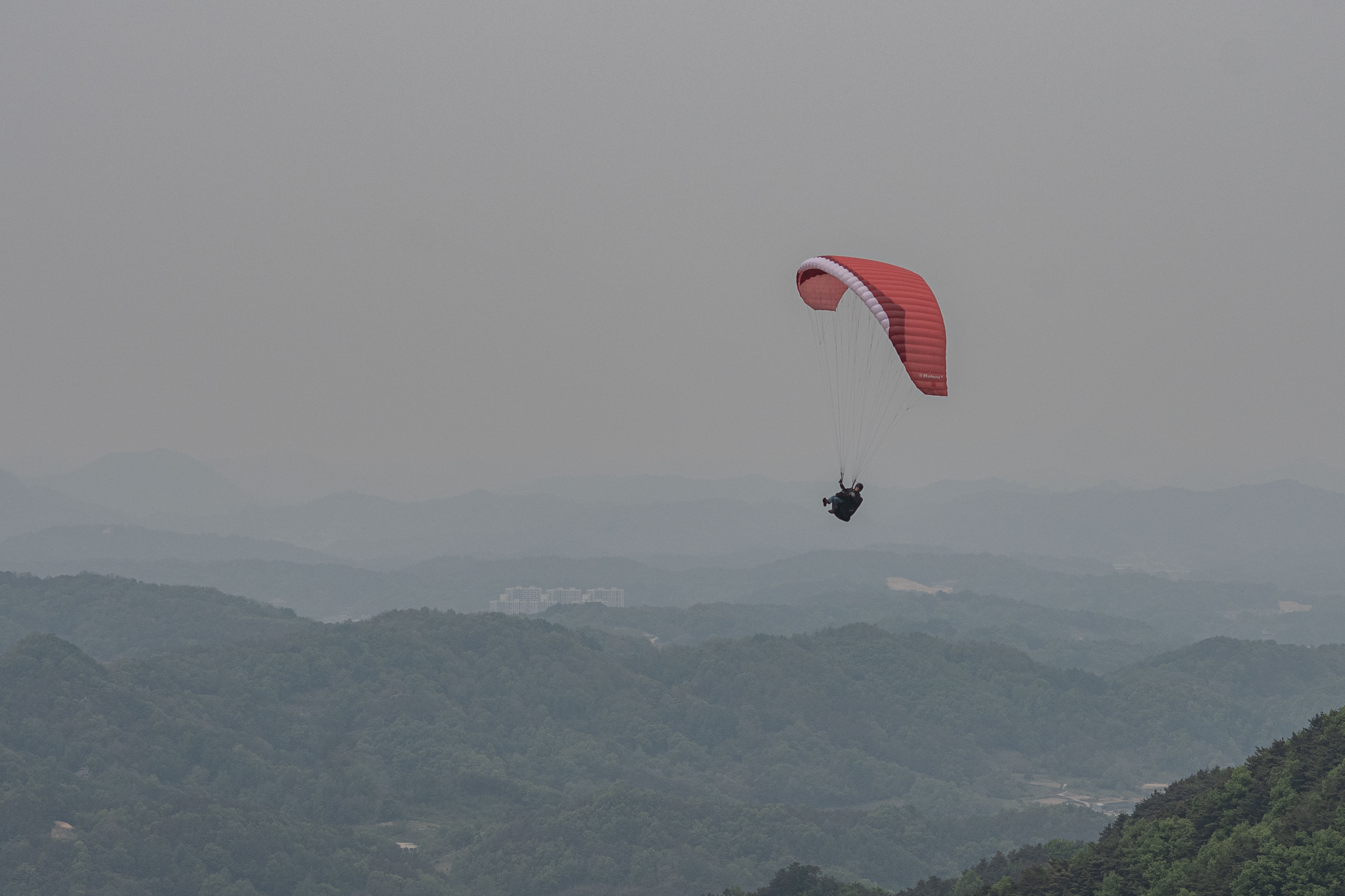DSC_4937-1.jpg
