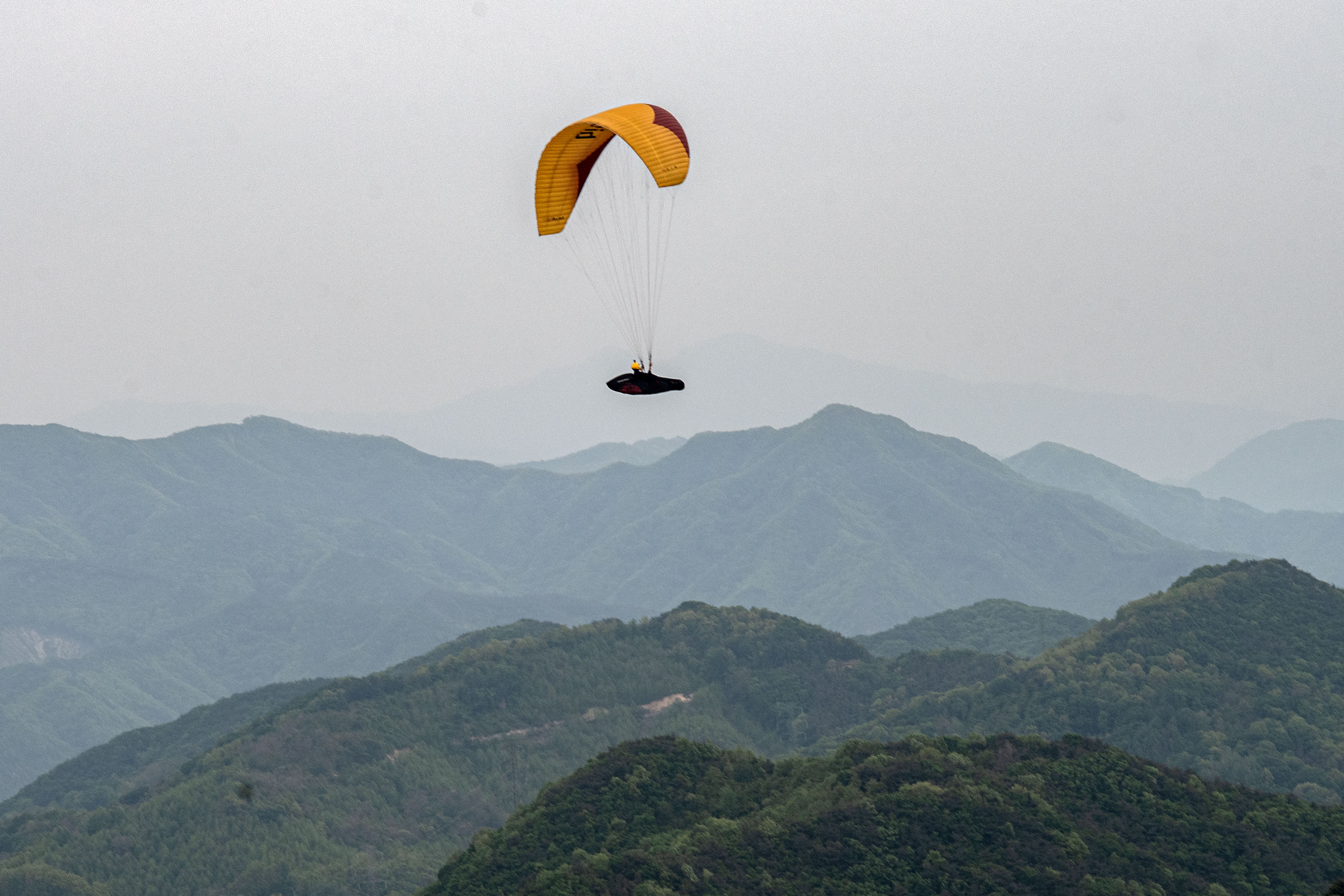 DSC_5002-1.jpg