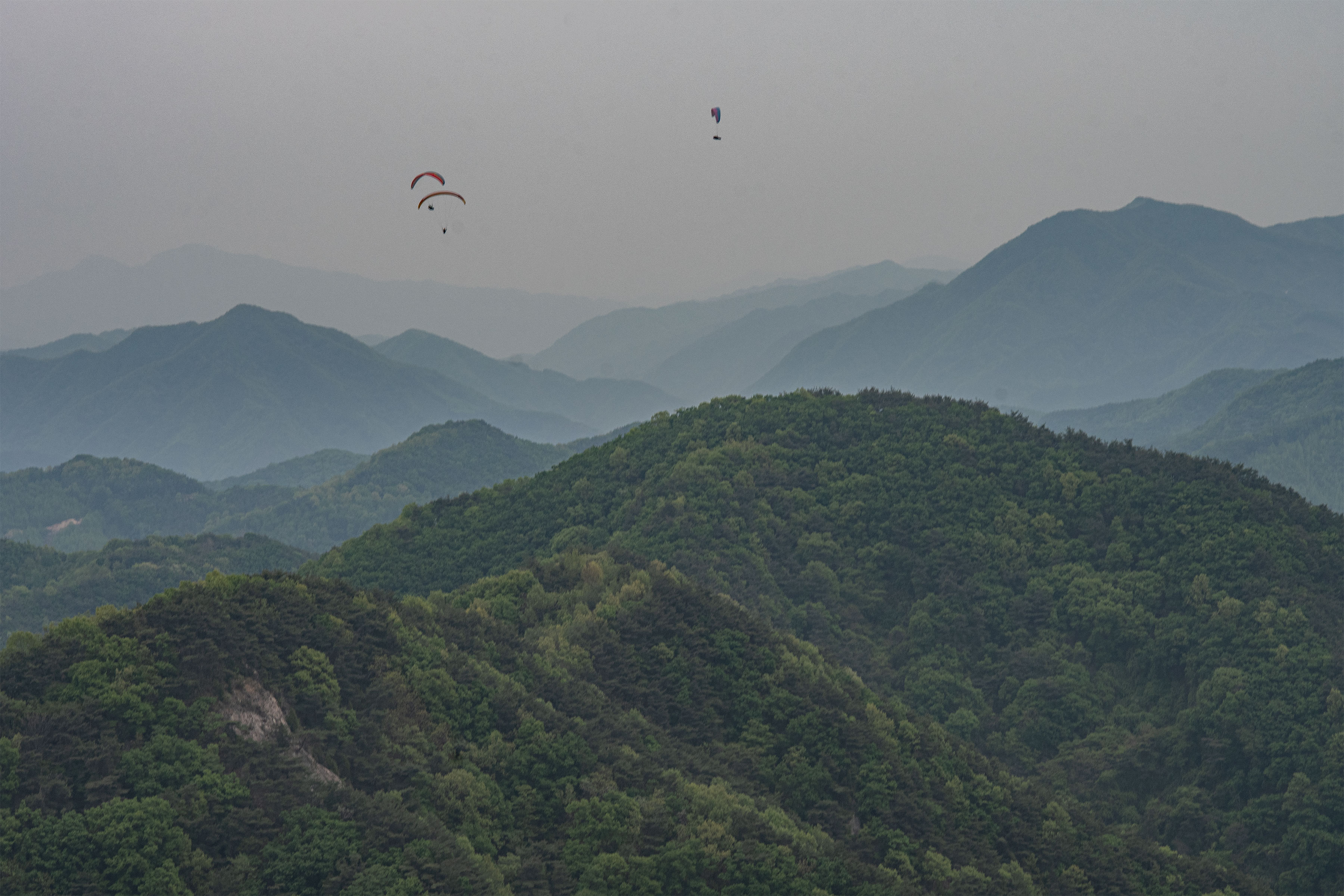 DSC_5304-1.jpg