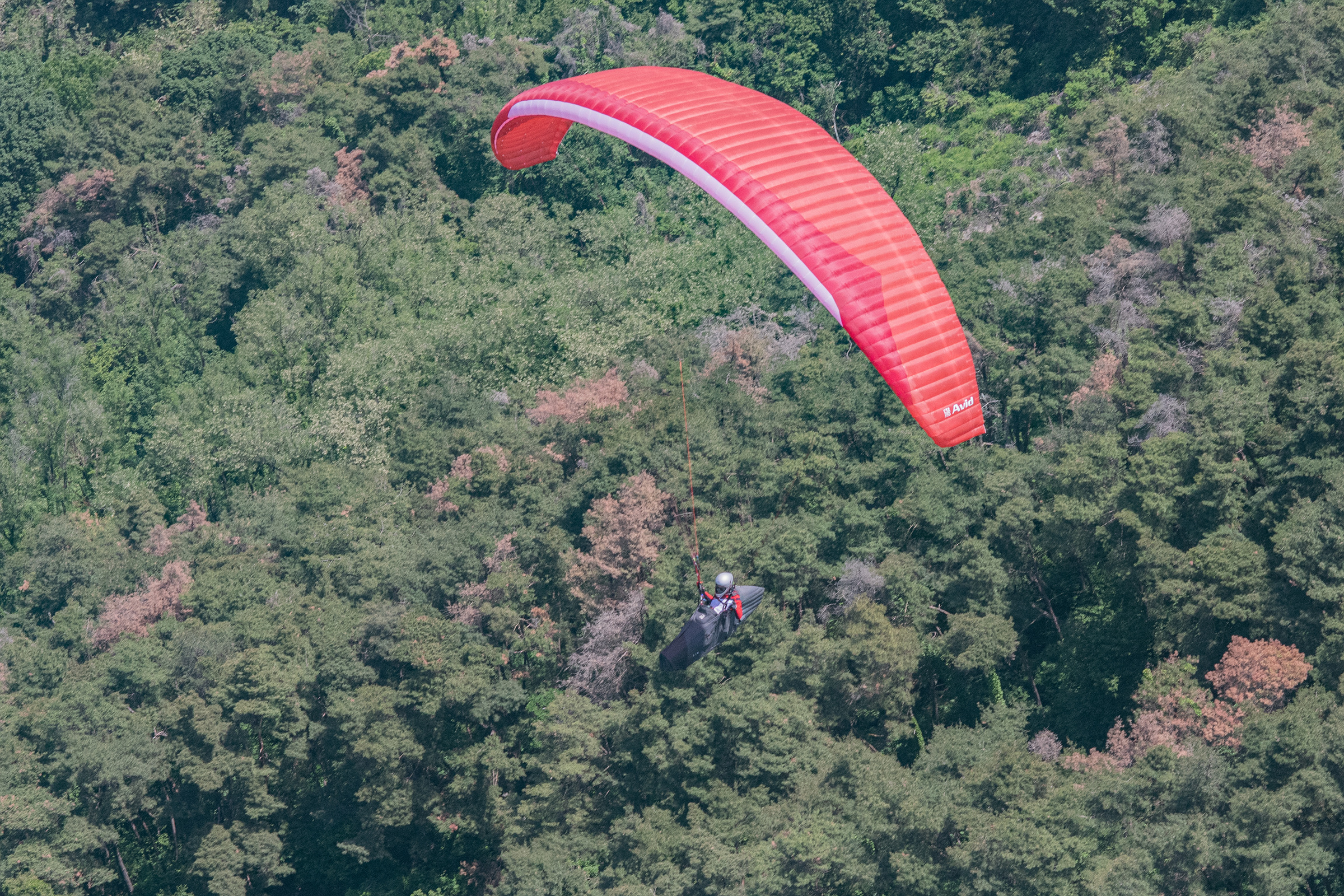 DSC_5446-1.jpg