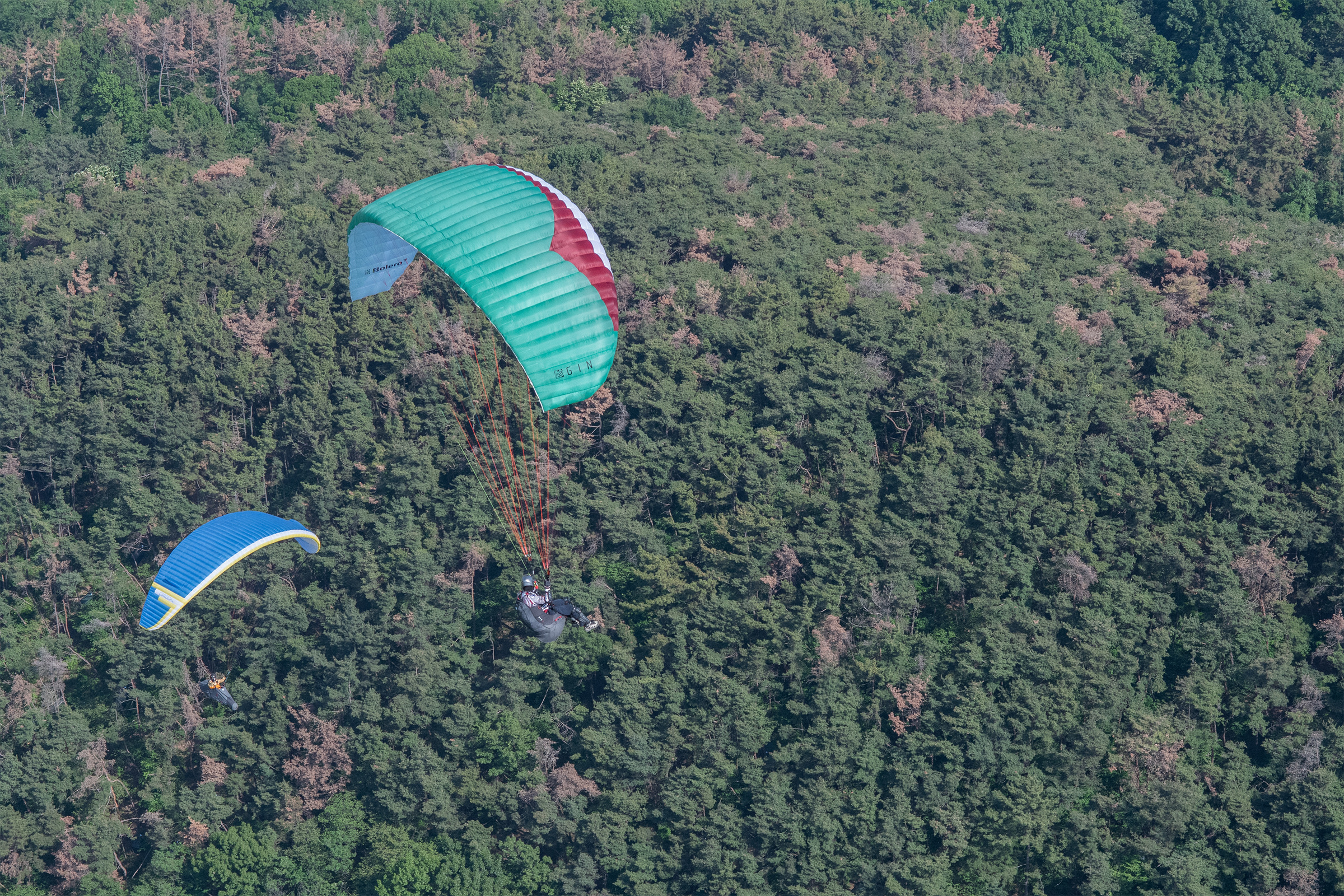 DSC_5843-1.jpg