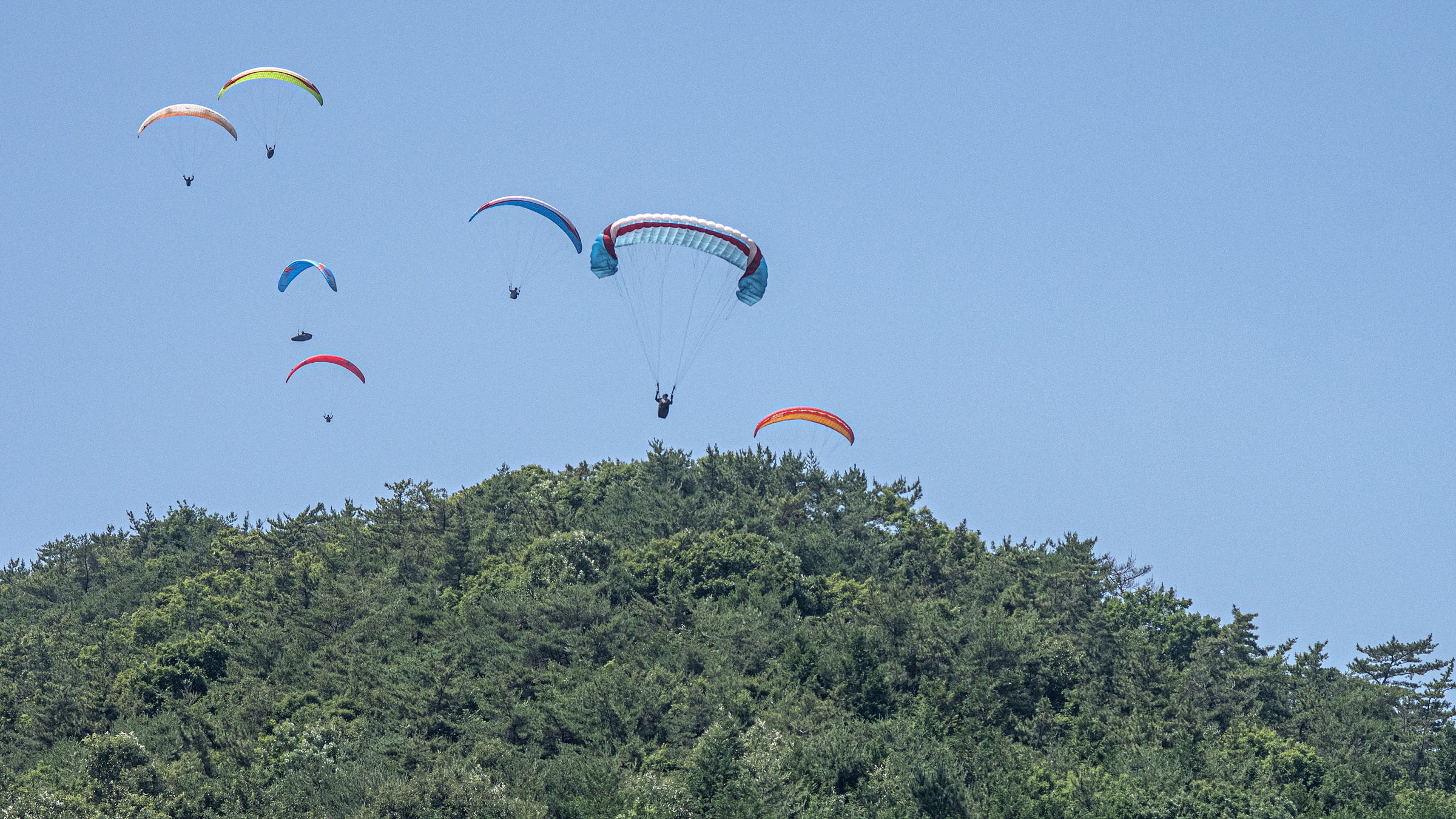 DSC_6720-1.jpg