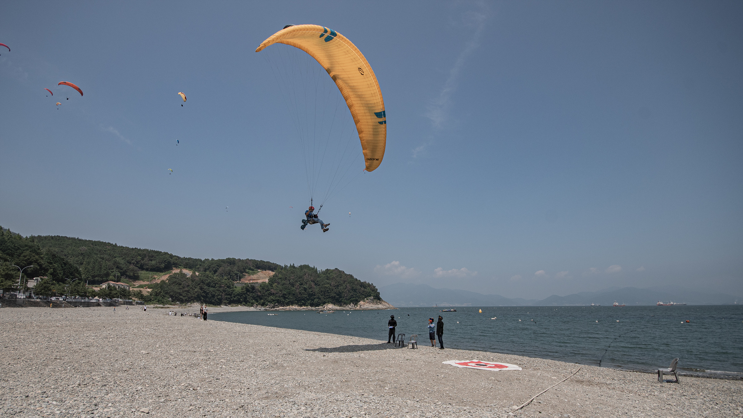 DSC_6773-1.jpg