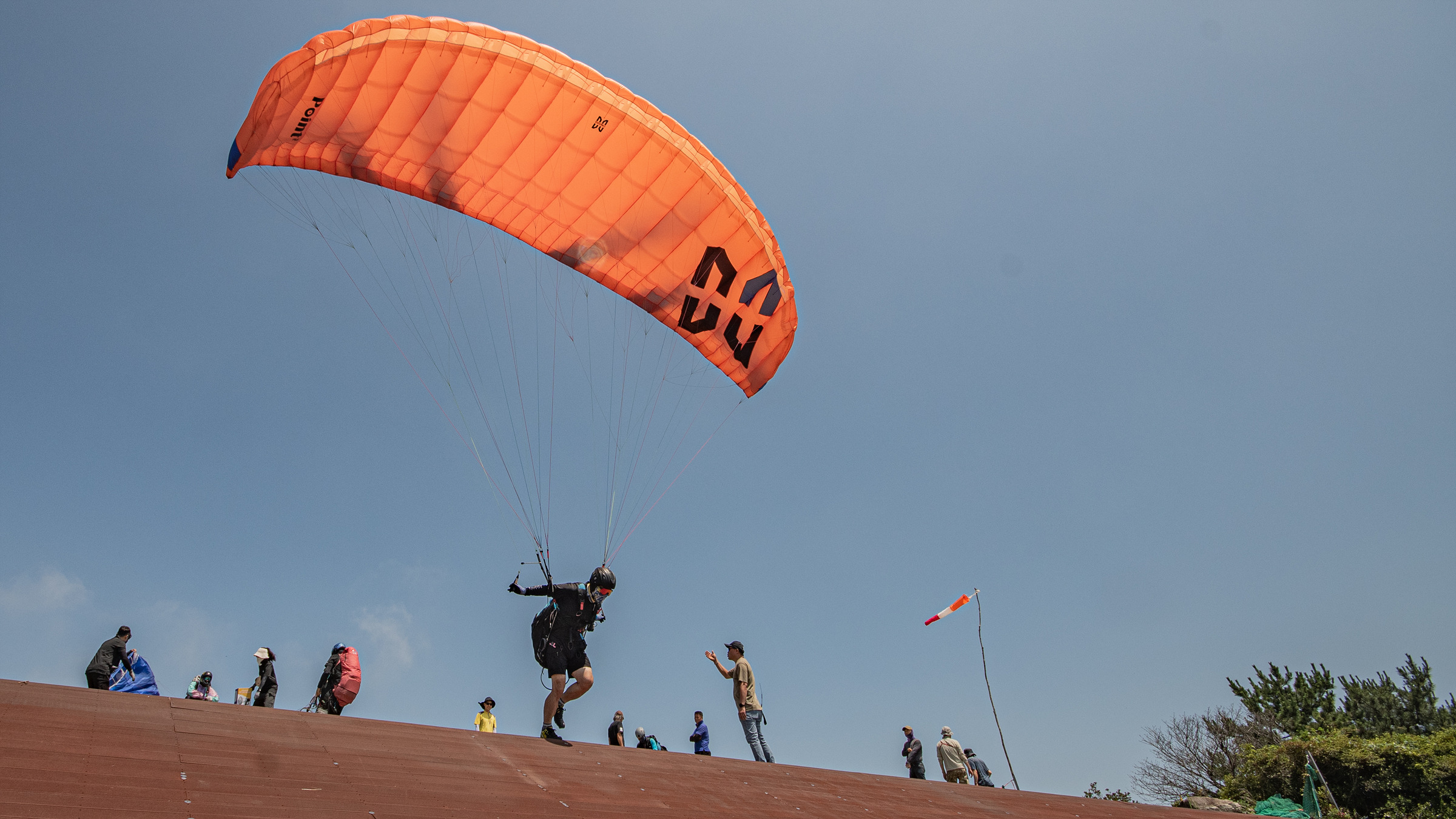 DSC_6178-1.jpg