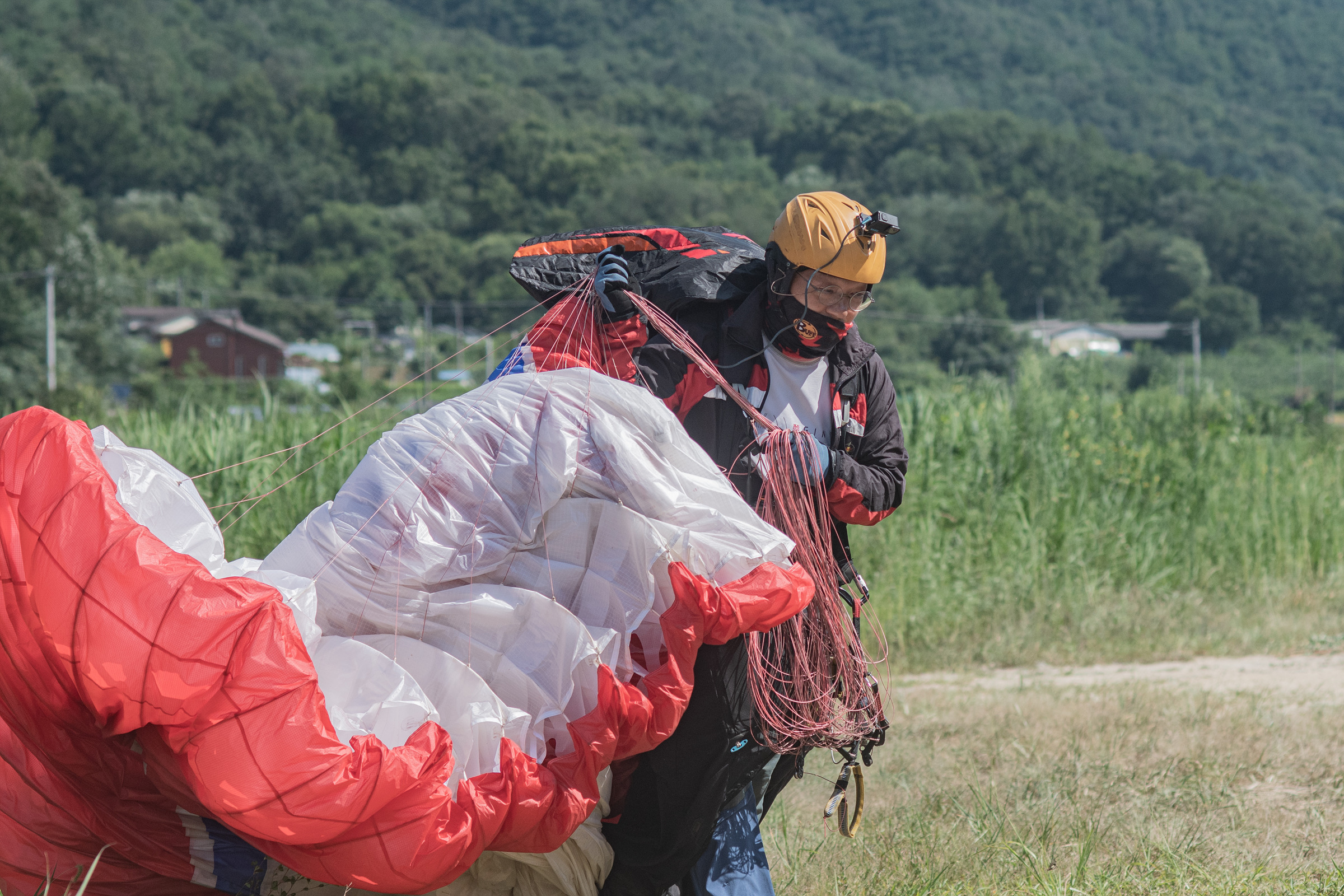 DSC_7384-1.jpg