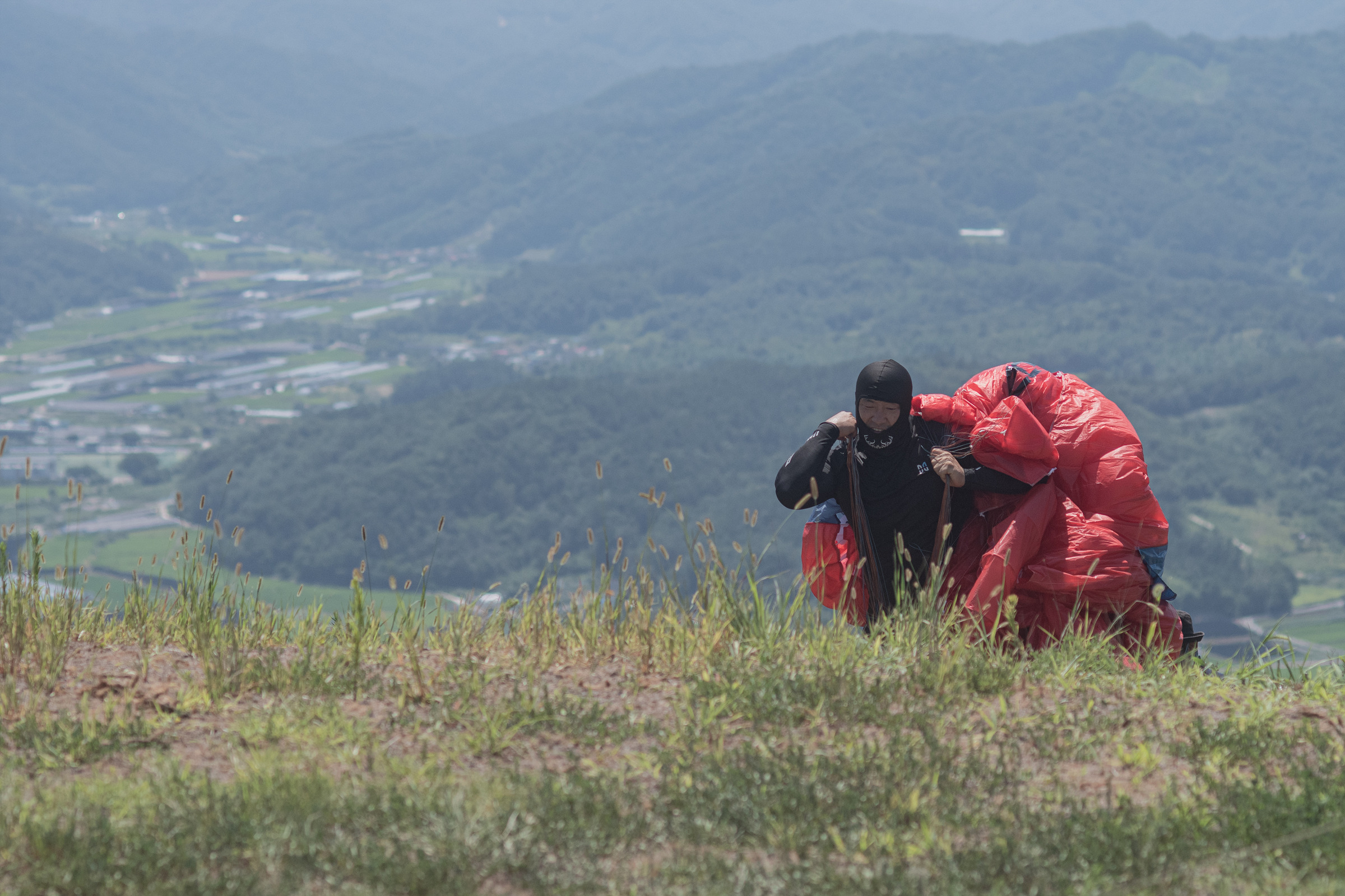 DSC_7262-1.jpg