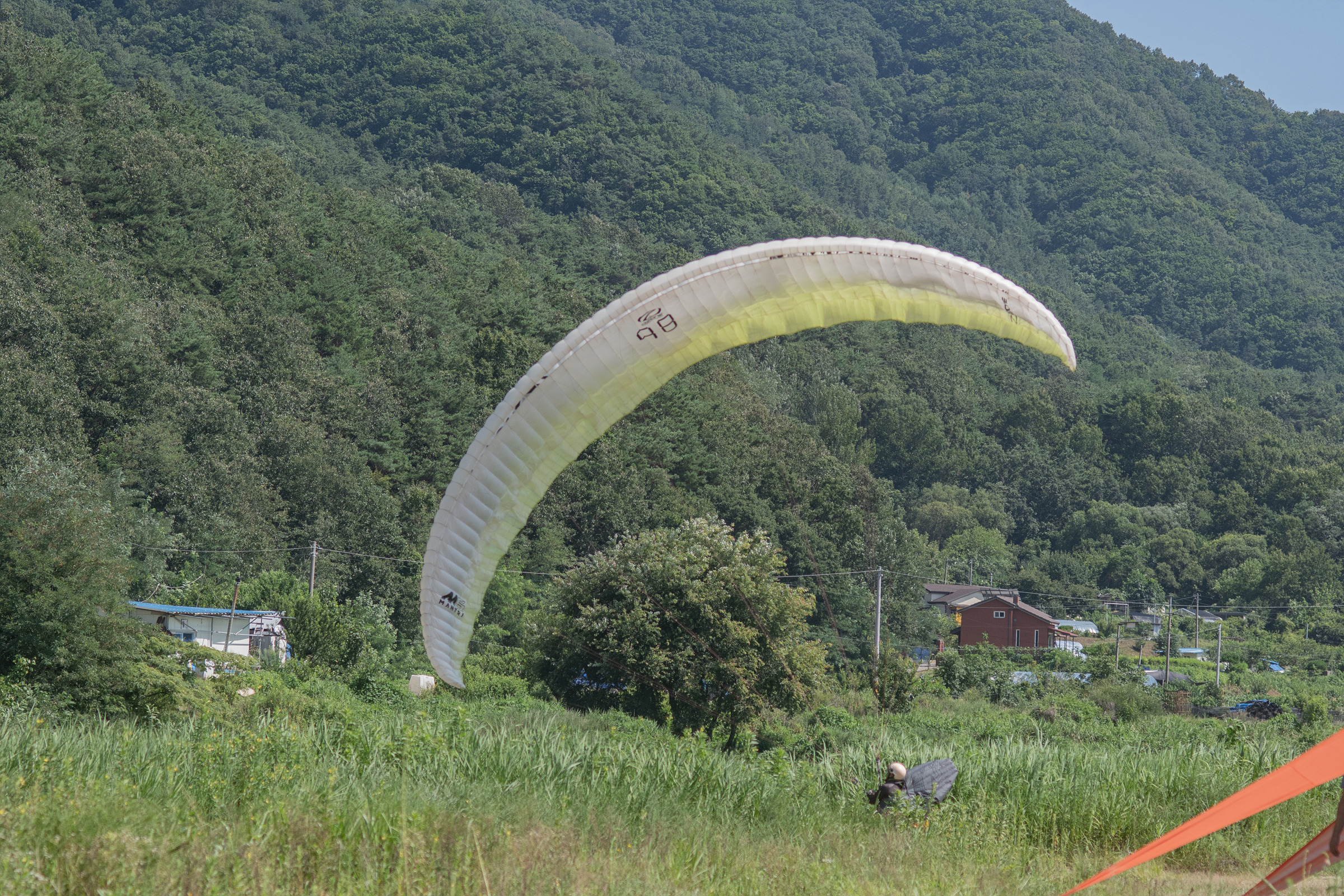 DSC_7322-1.jpg