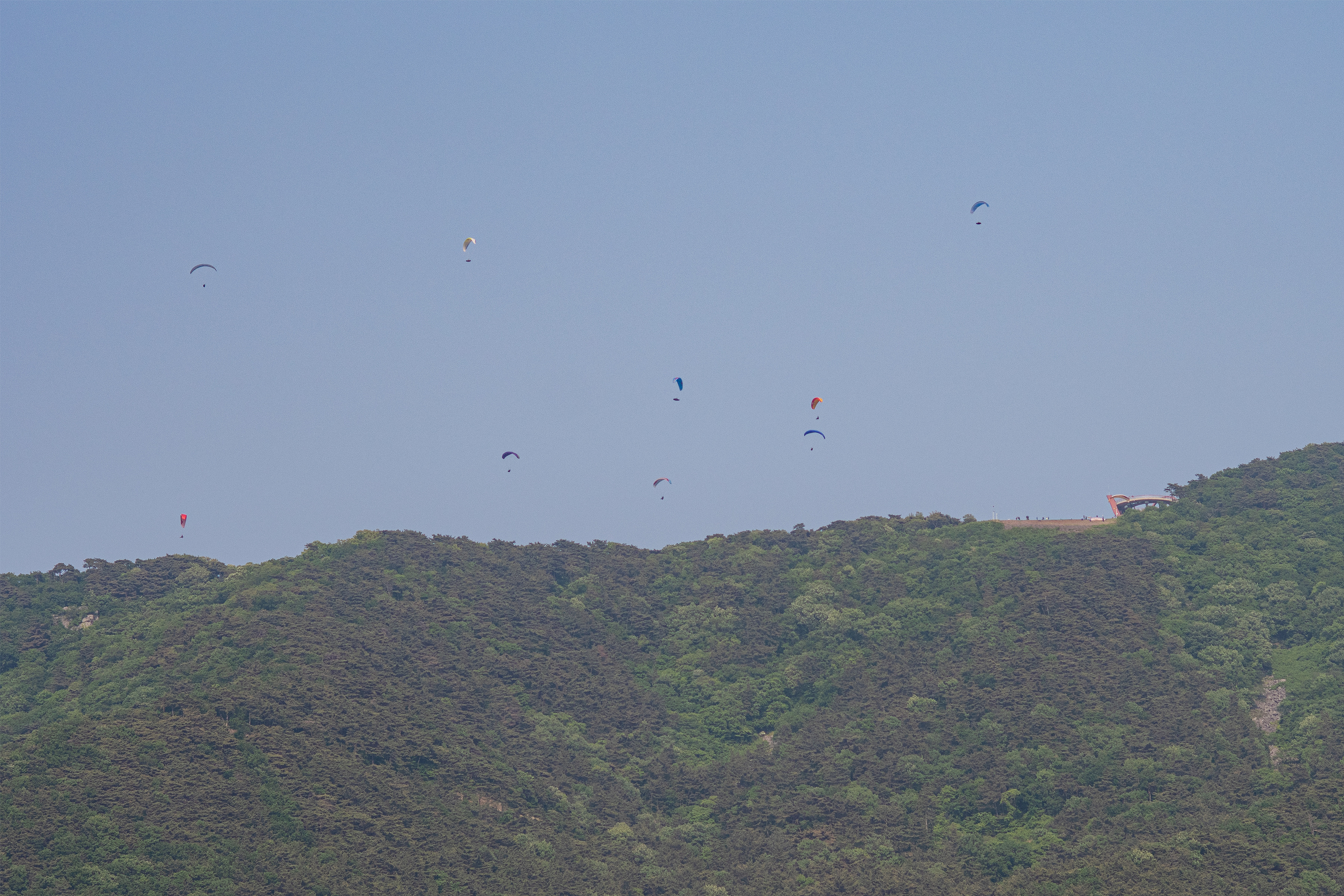 DSC_3371-1.jpg