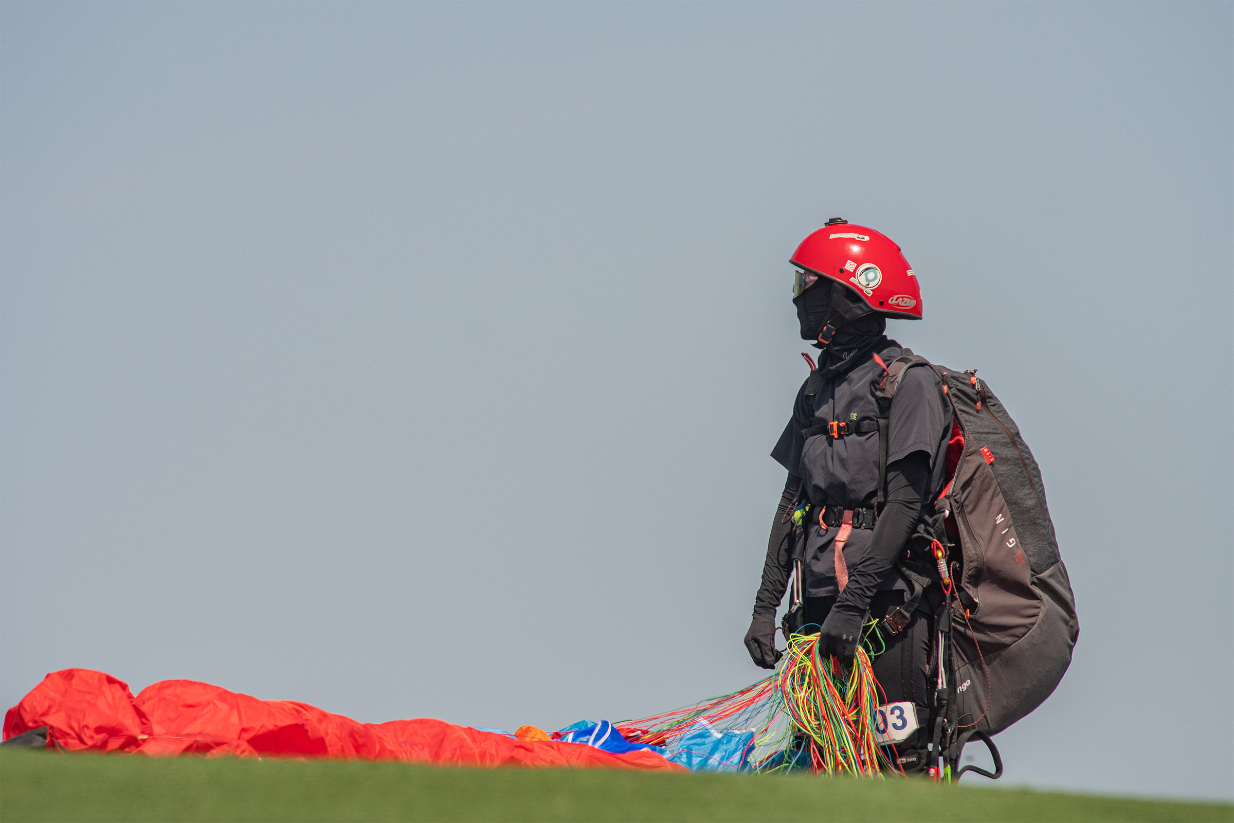 DSC_3530-1.jpg