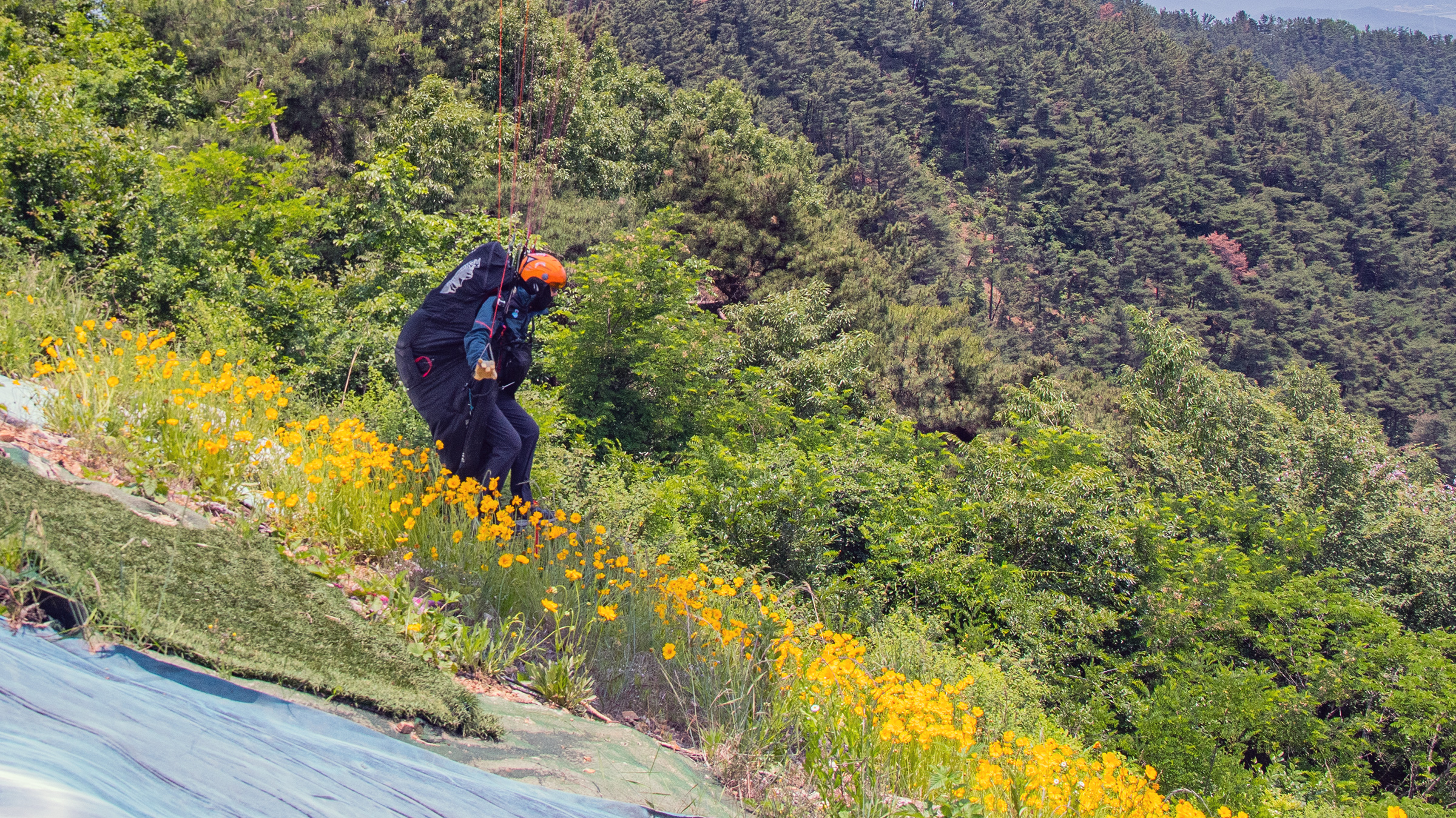 DSC_4498-1.jpg
