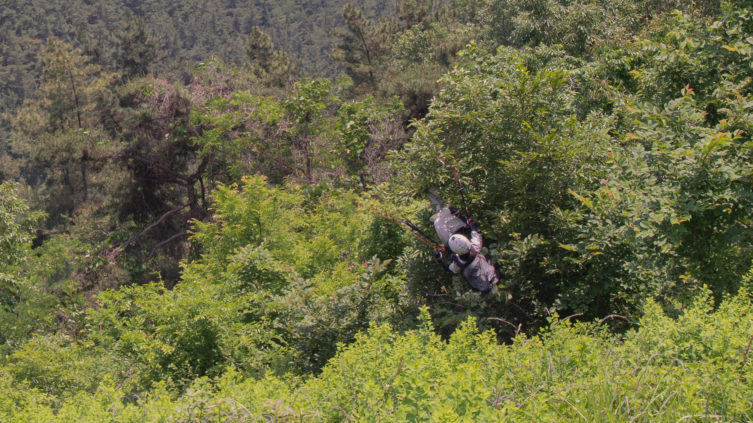DSC_4509-1.jpg
