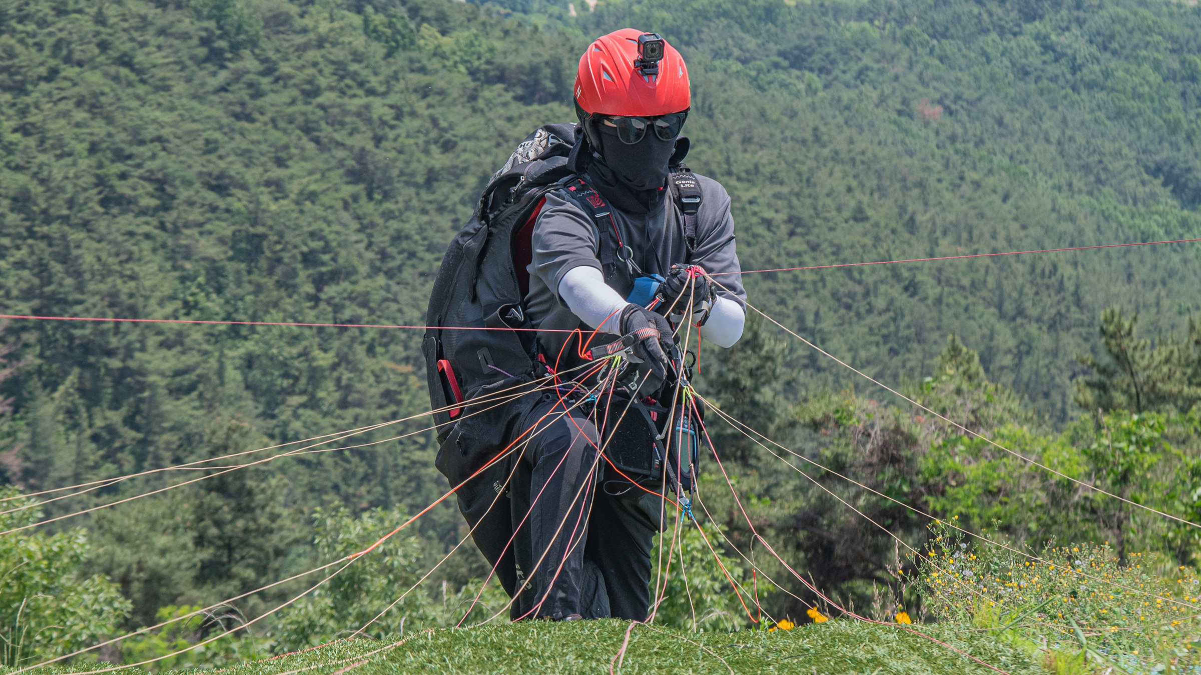 DSC_4534-1.jpg